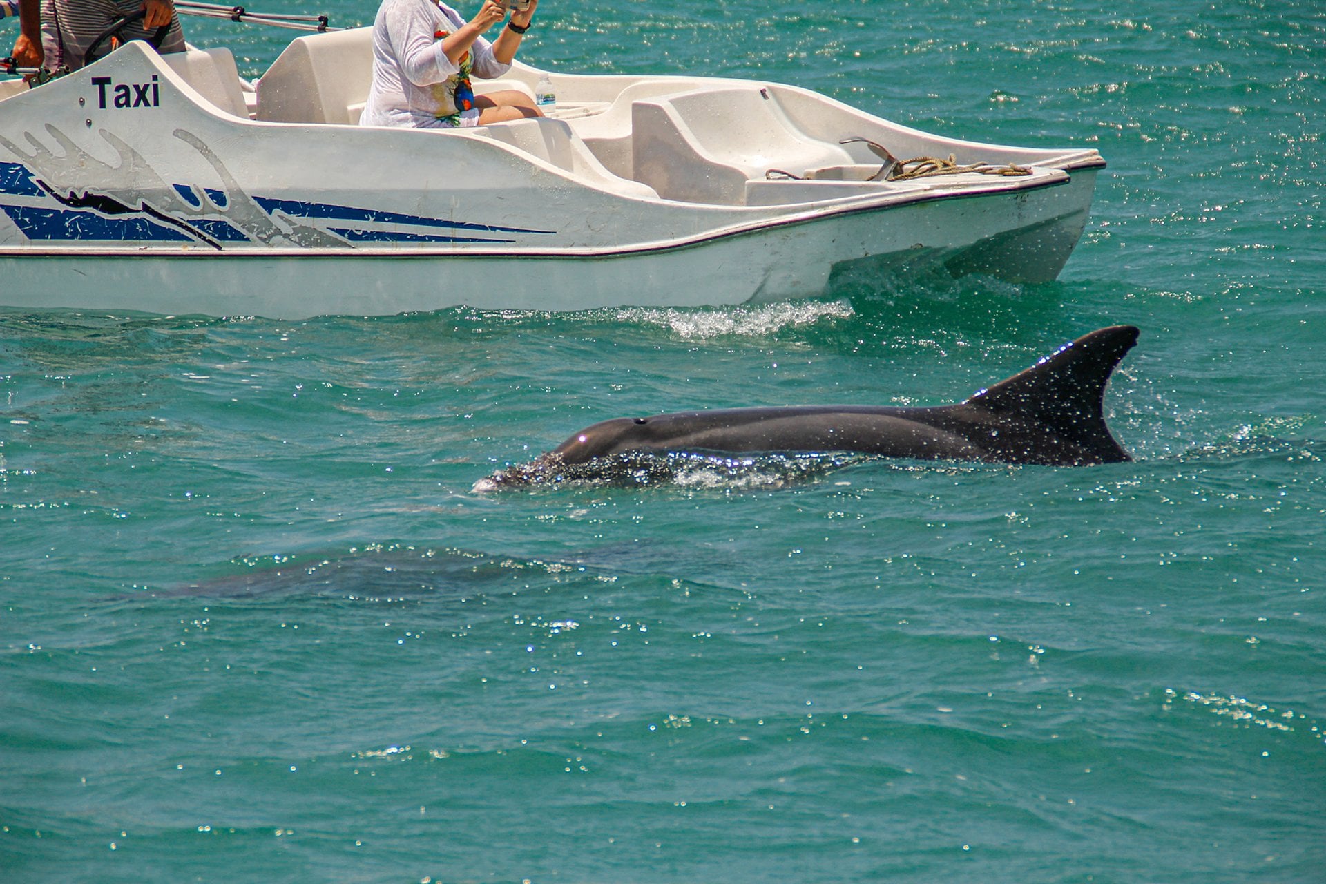 Tour en Scuna por Buzios - Imagen 3