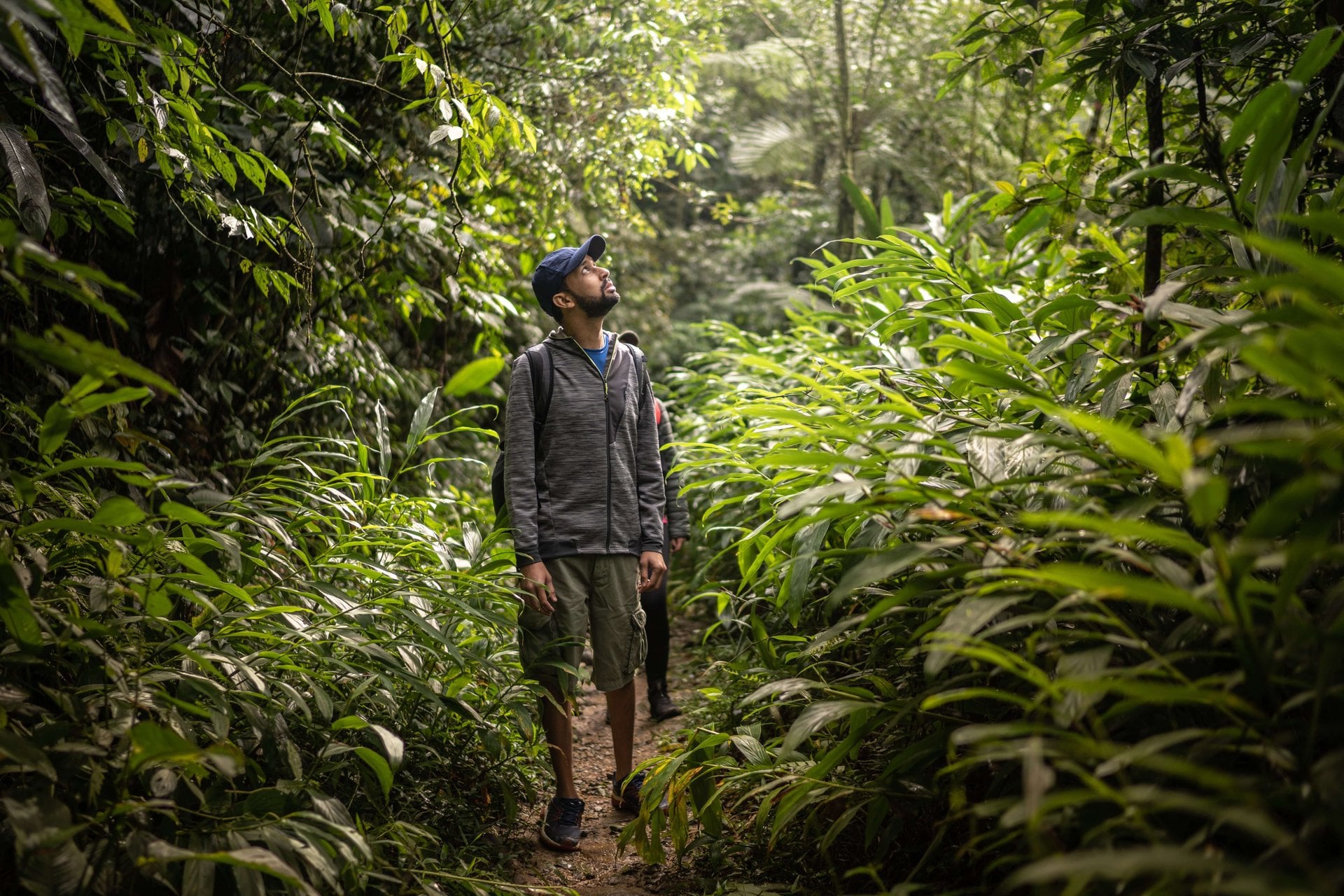 Selva de Manu: 3 días de vida salvaje - Imagen 4