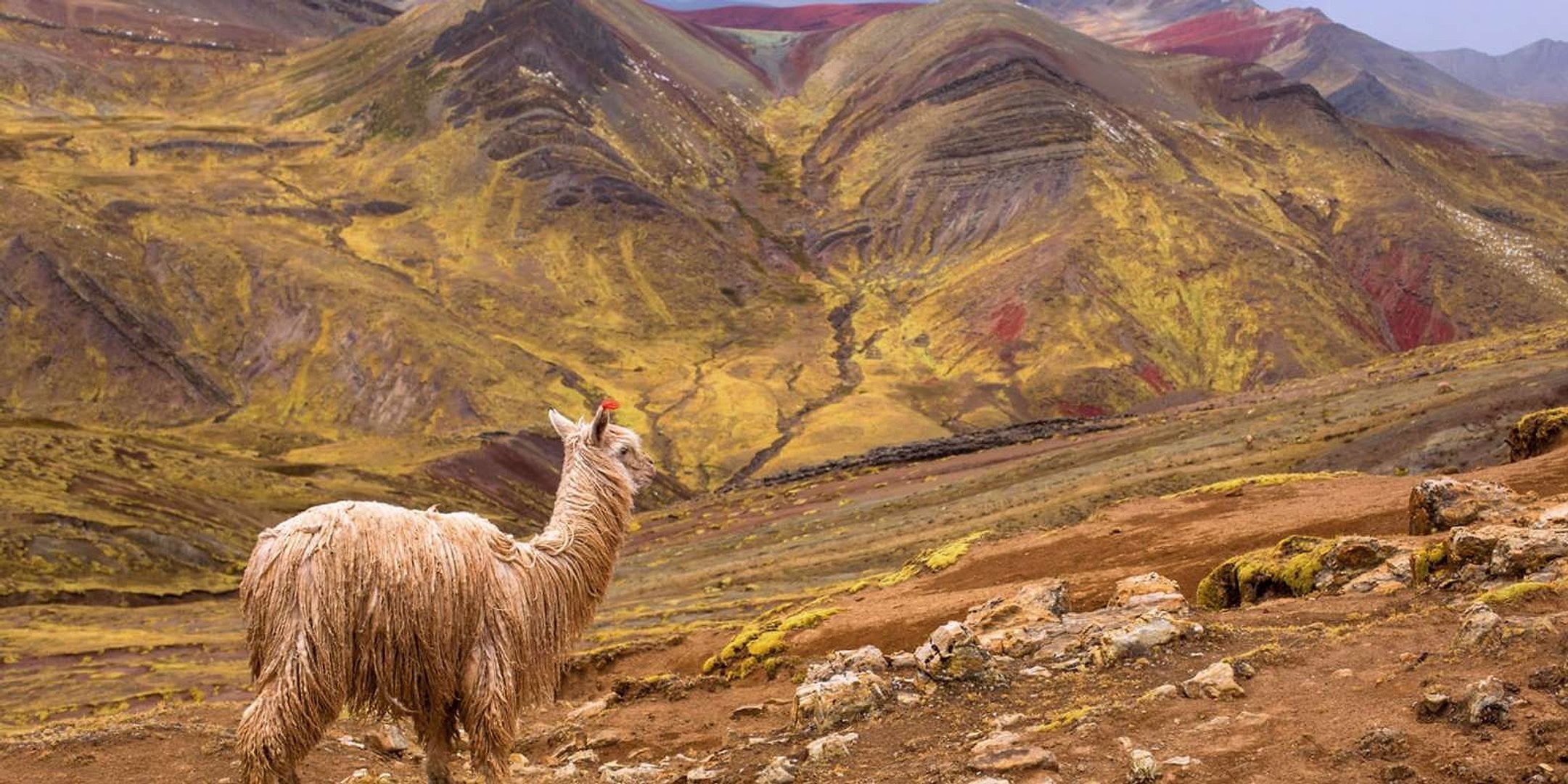 Explora Palcoyo, montañas arcoíris - Imagen 4