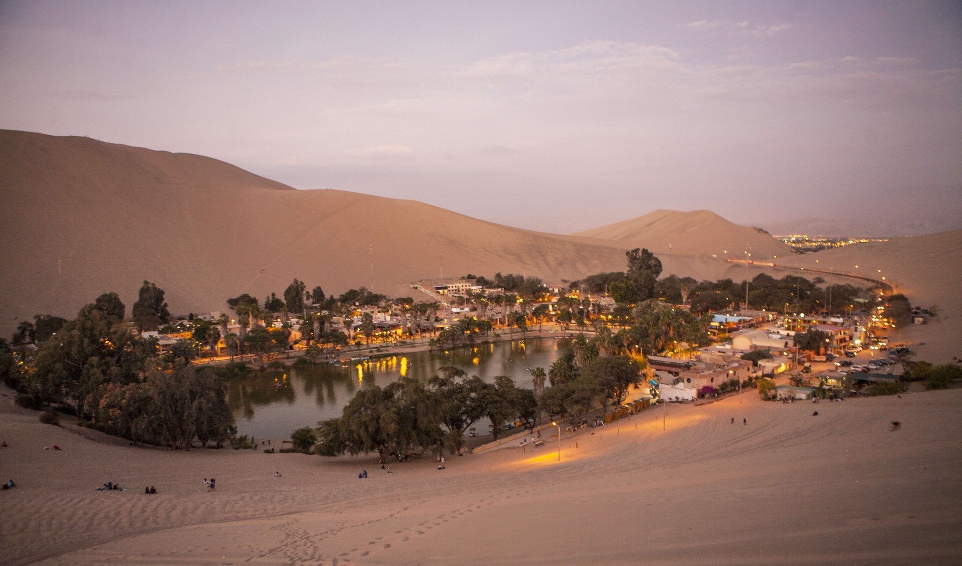 Paracas, Ica y Huacachina: día completo - Imagen 3