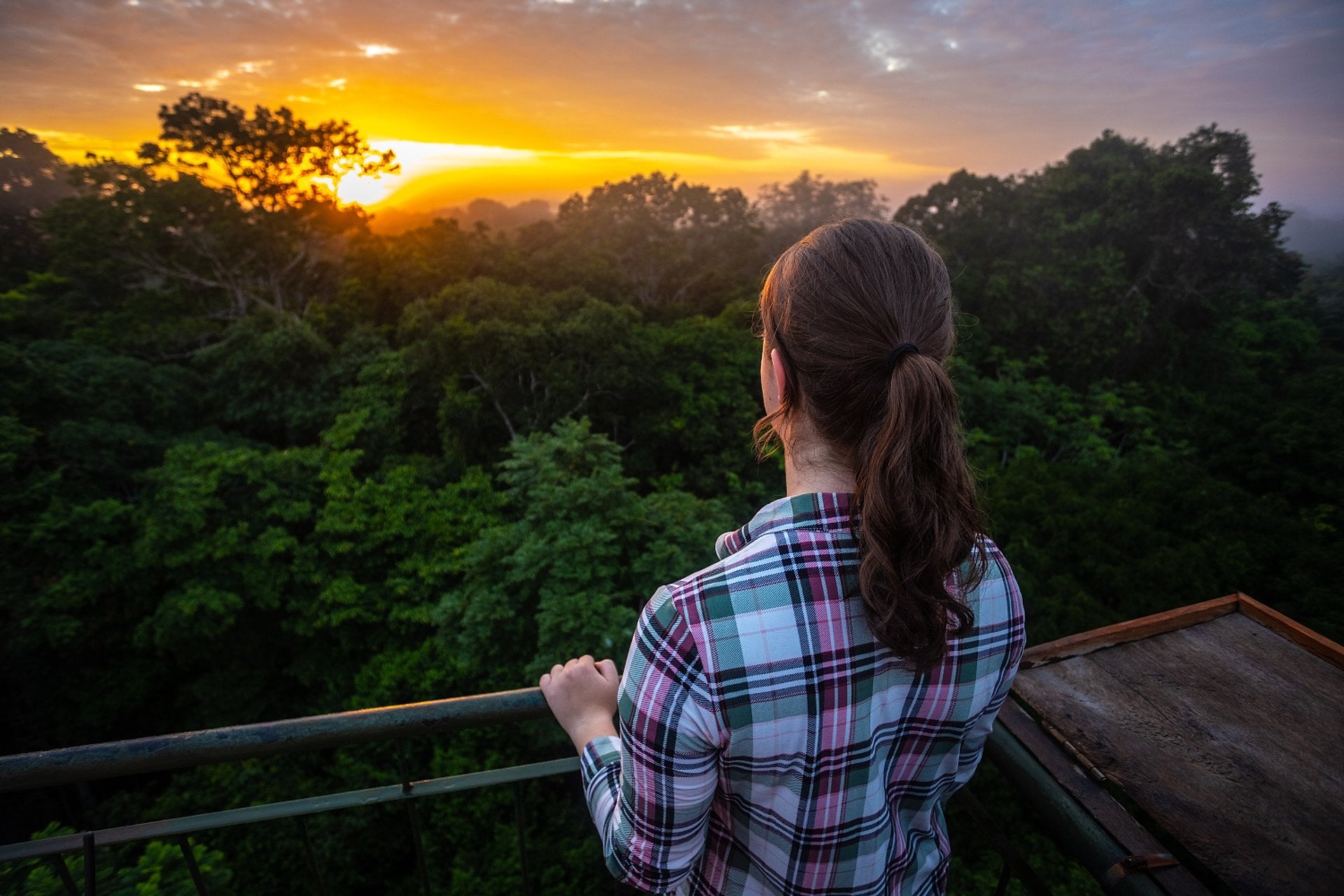 Selva de Iquitos: 4 días/3 noches - Imagen 4