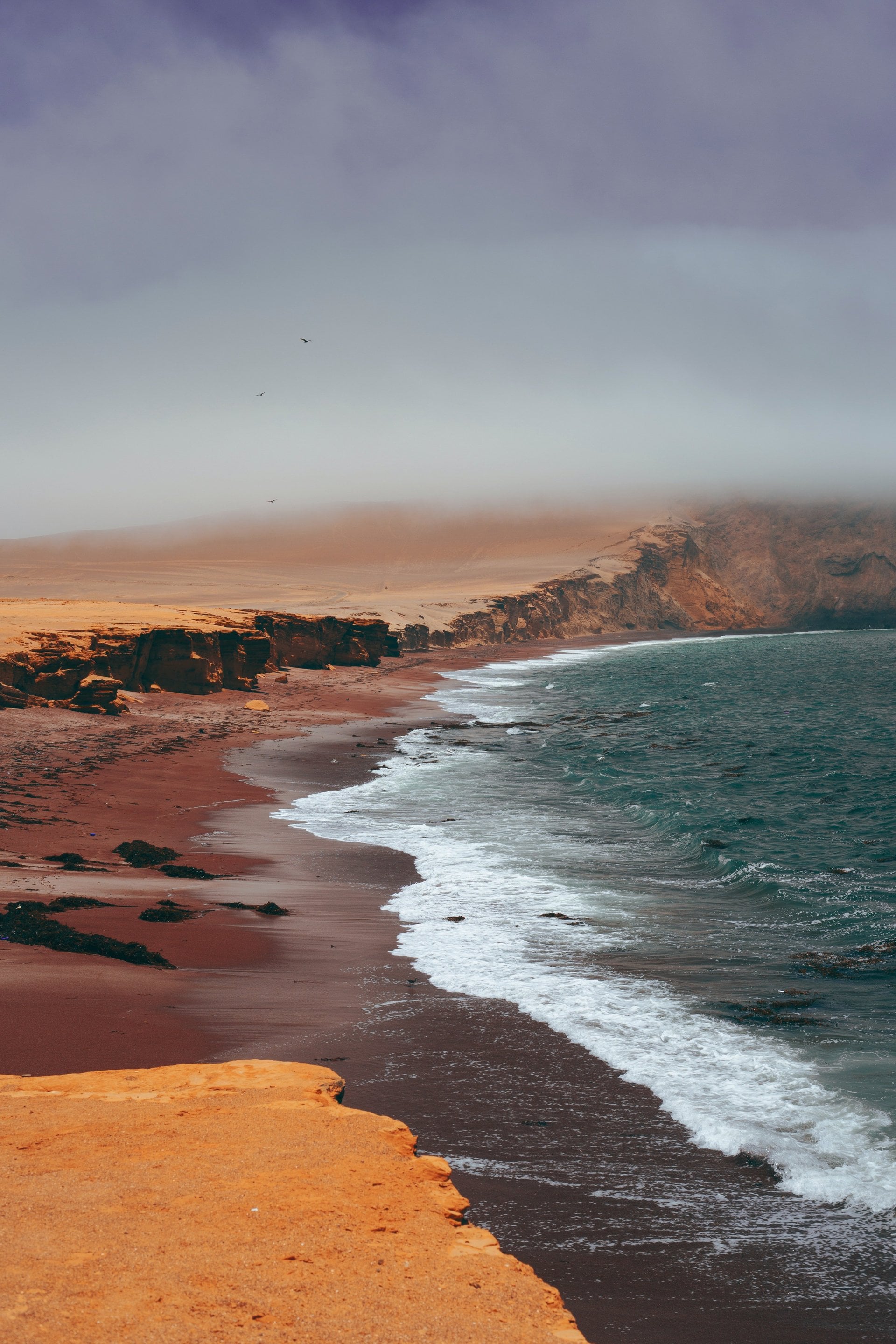 Islas Ballestas: las Galápagos del Perú - Imagen 3