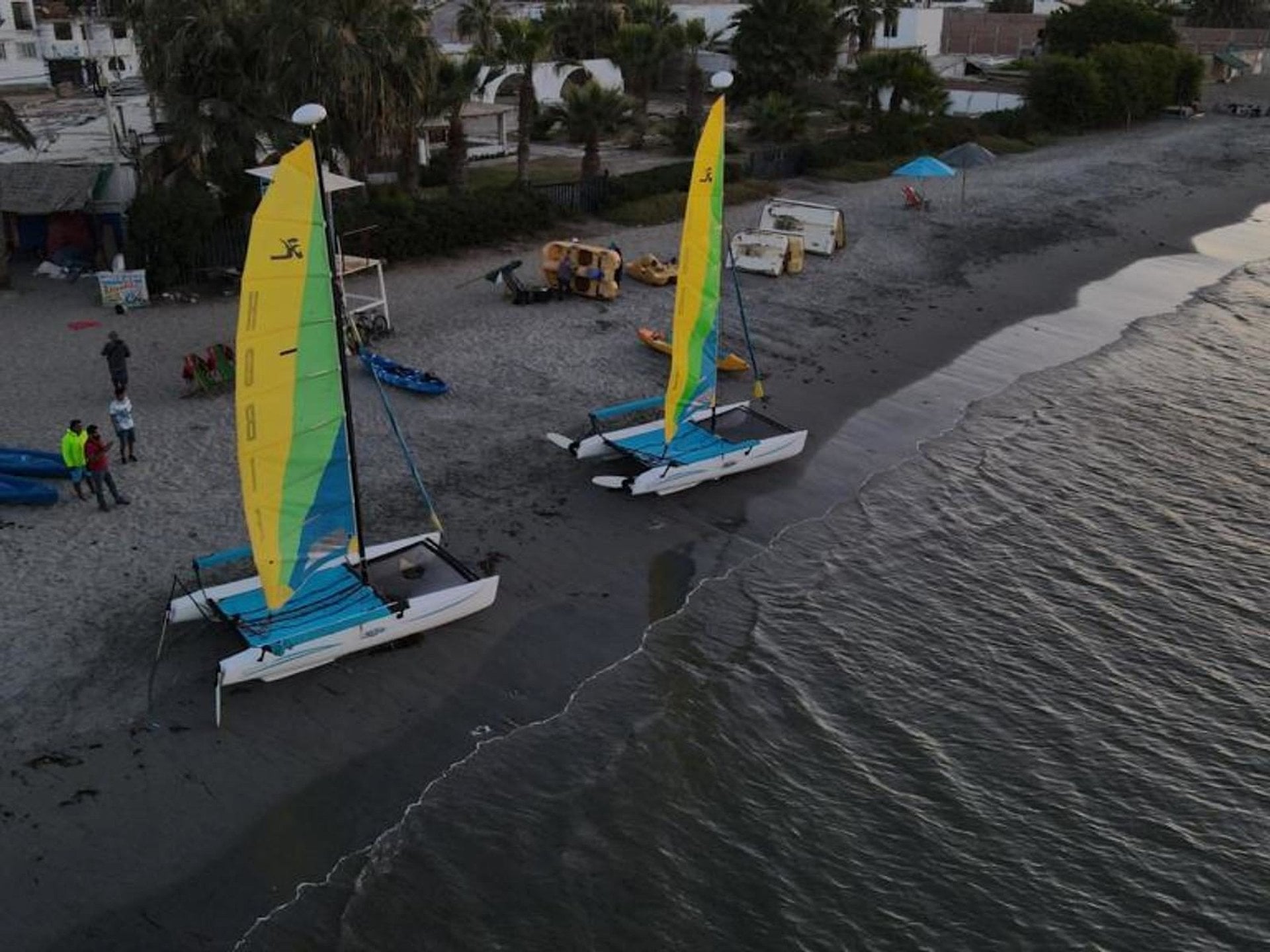 Navega en catamarán por la Bahía de Paracas - Imagen 4