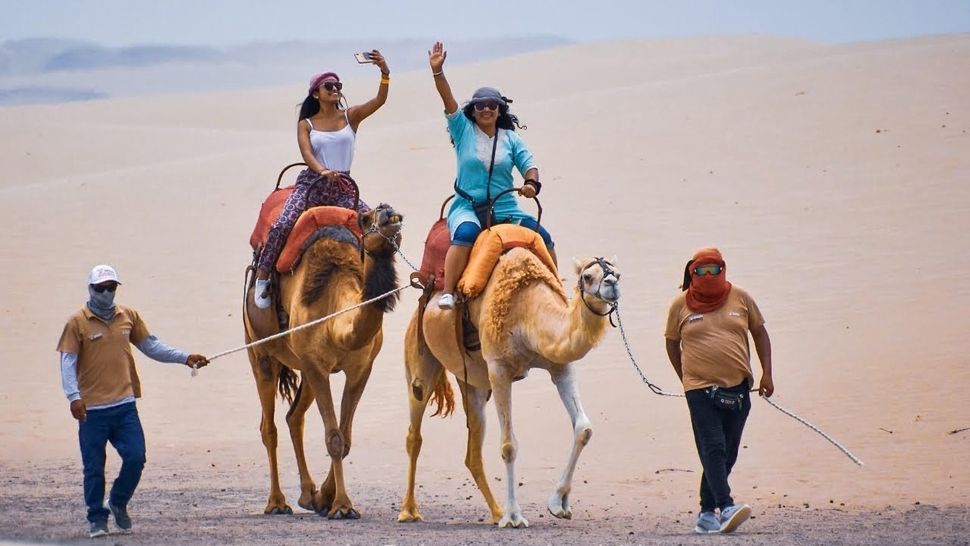 Camello en el desierto de Ica - Imagen 3