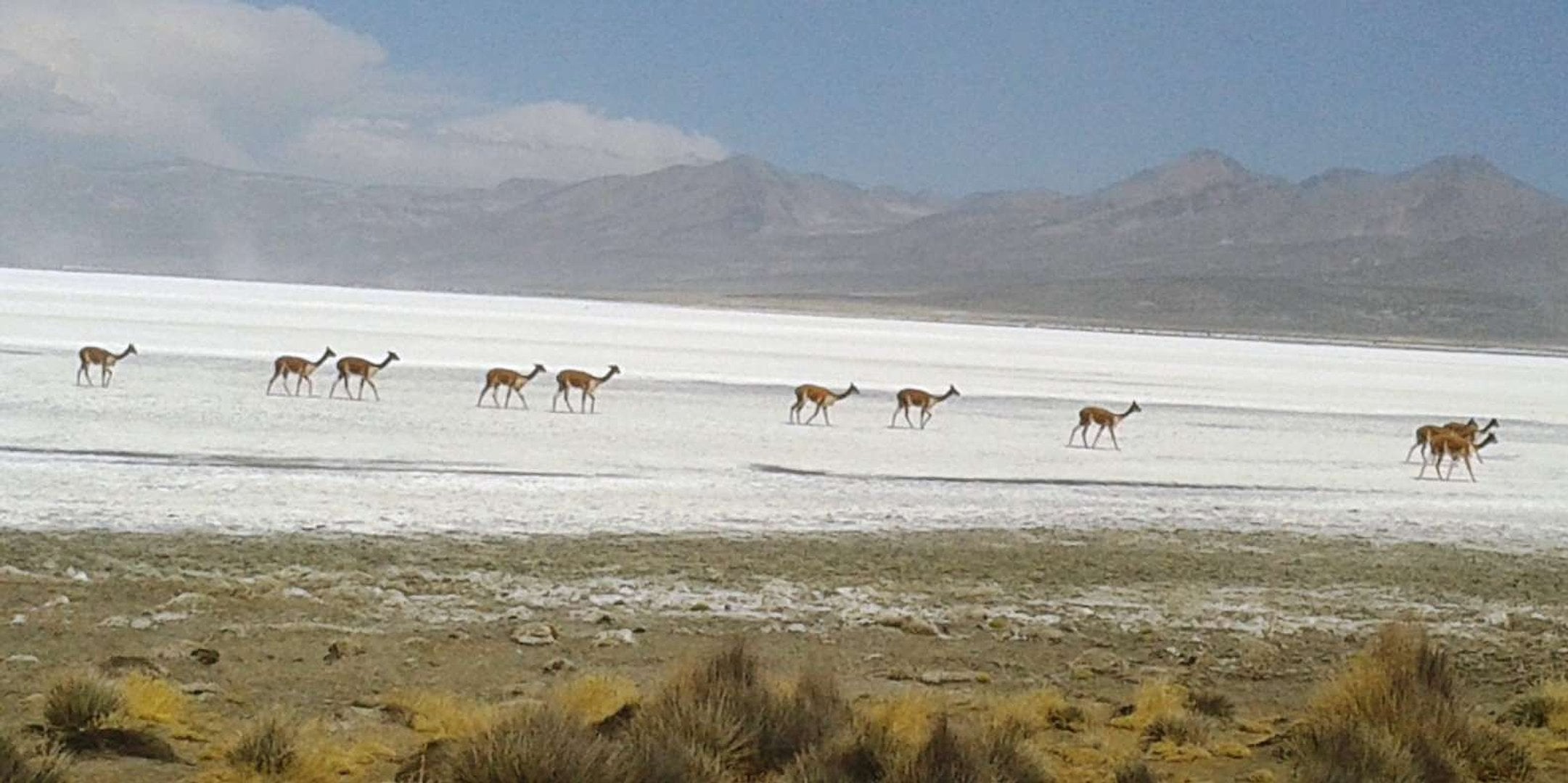Experiencia Mini Uyuni - Lago Salinas - Imagen 4