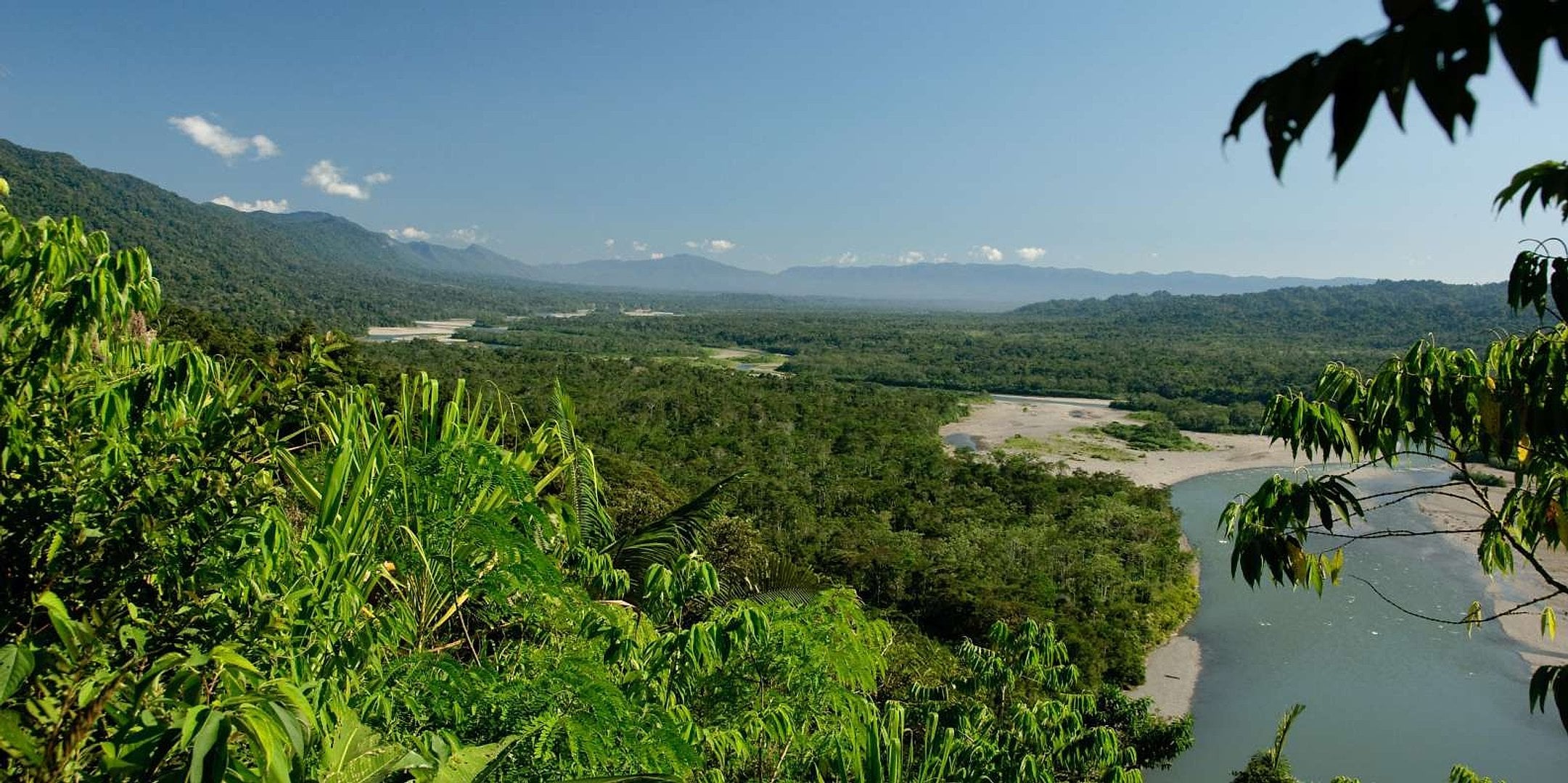Secretos del Amazonas: 4 días con guacamayas - Imagen 4