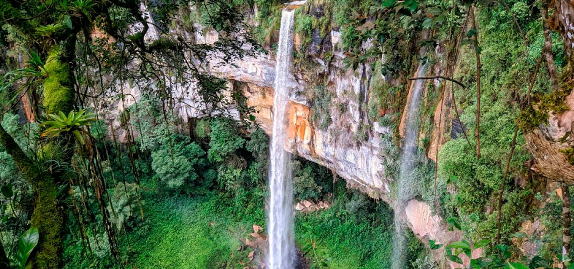 Escapada a las cascadas de Ahuashiyacu - Imagen 2