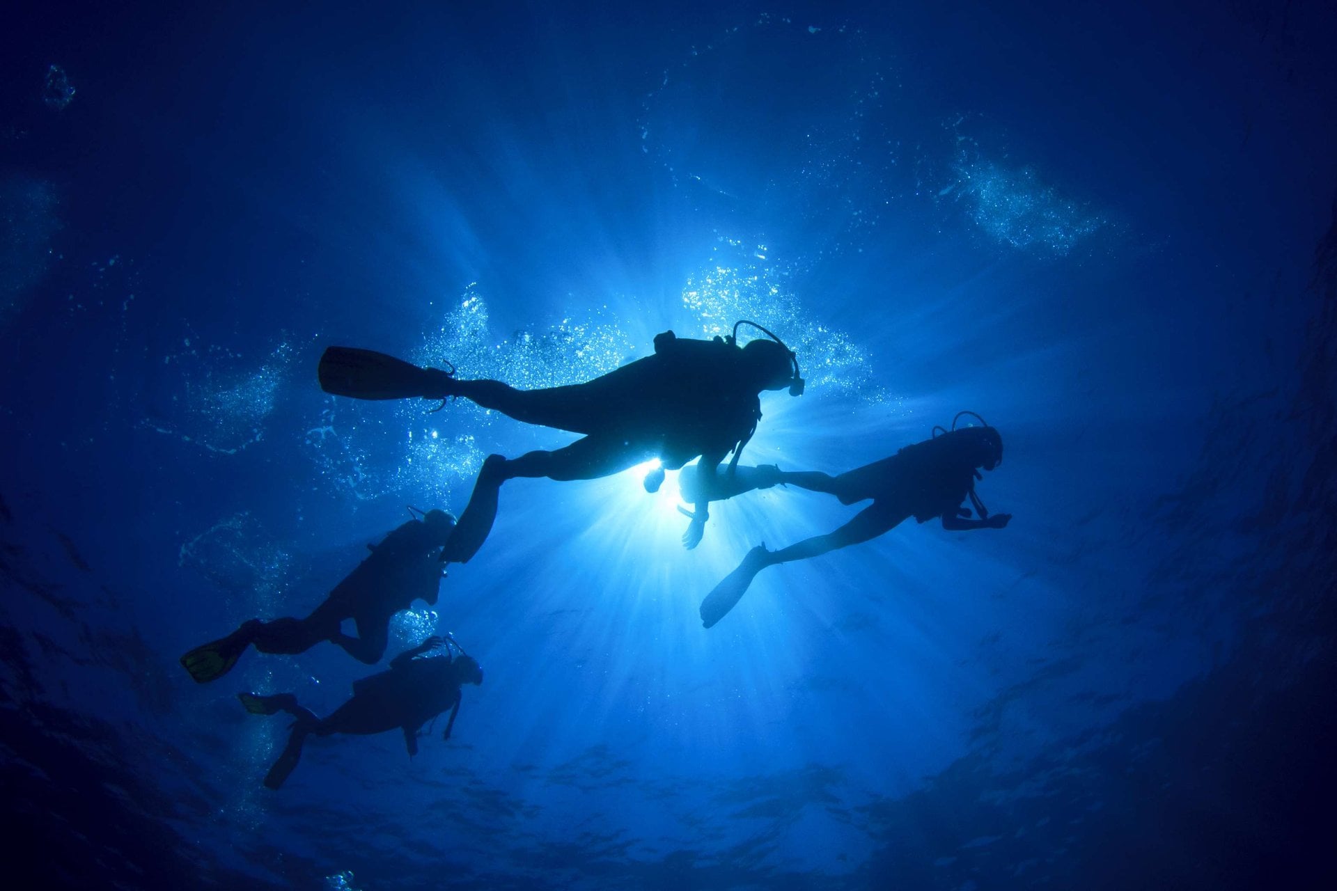 Buceo y descubrimiento en Máncora - Imagen 3