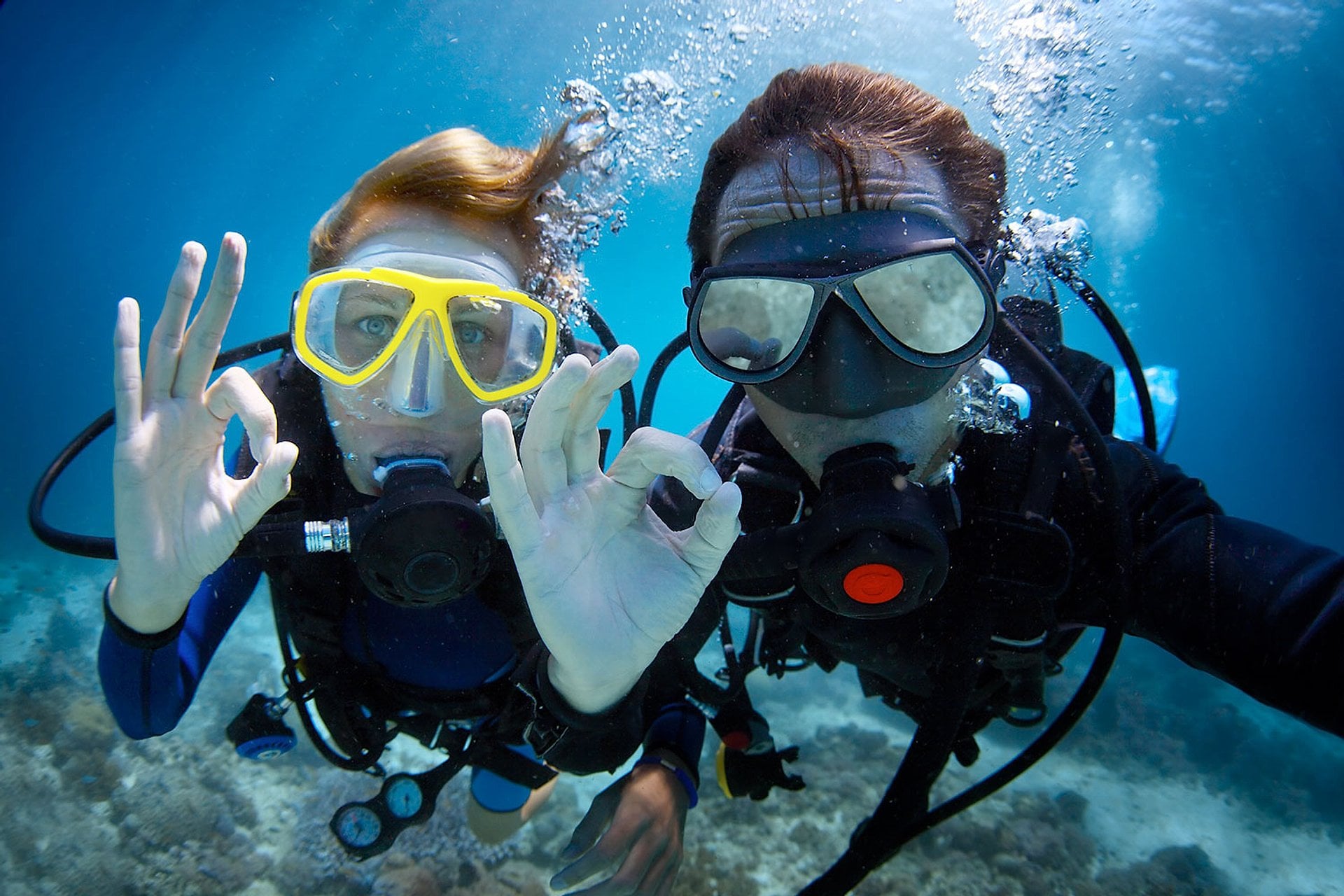 Buceo y descubrimiento en Máncora - Imagen 4