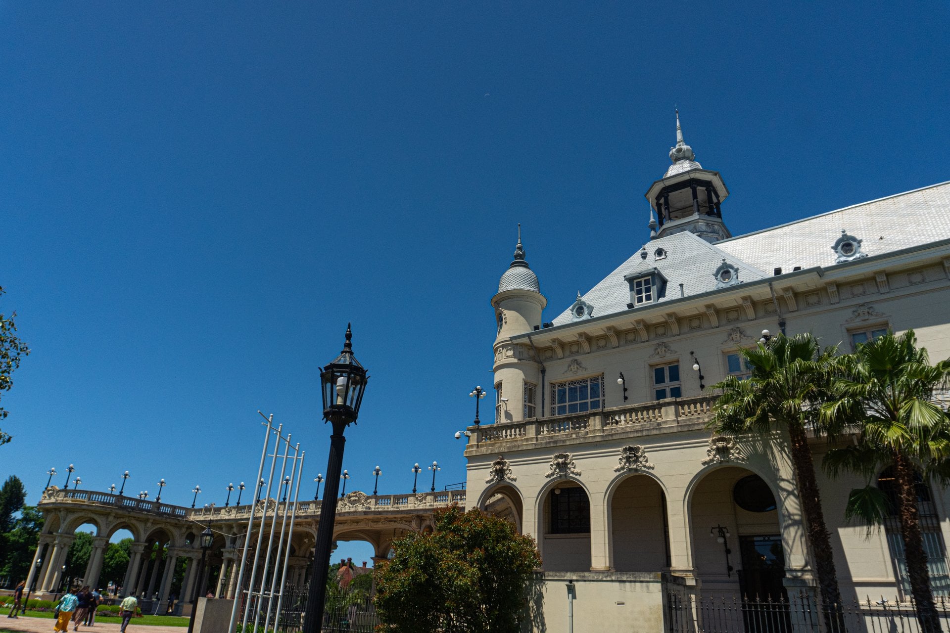 Delta de Tigre premium desde Buenos Aires - Imagen 3