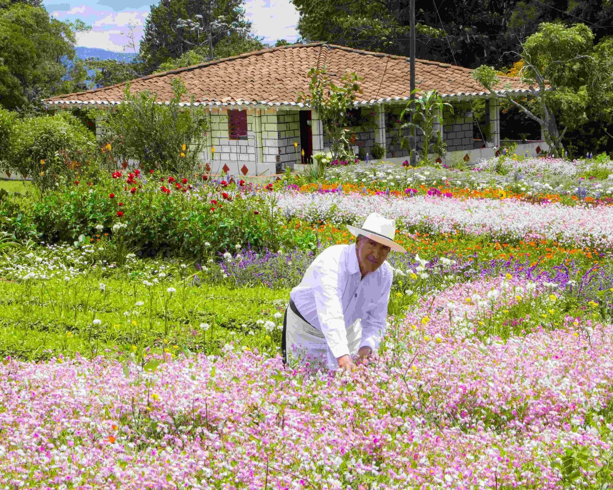 Dia Campesino en Medellin - Imagen 2