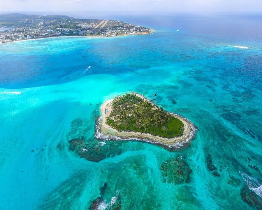 Acuario, bahía y manglares con transporte - Imagen 3