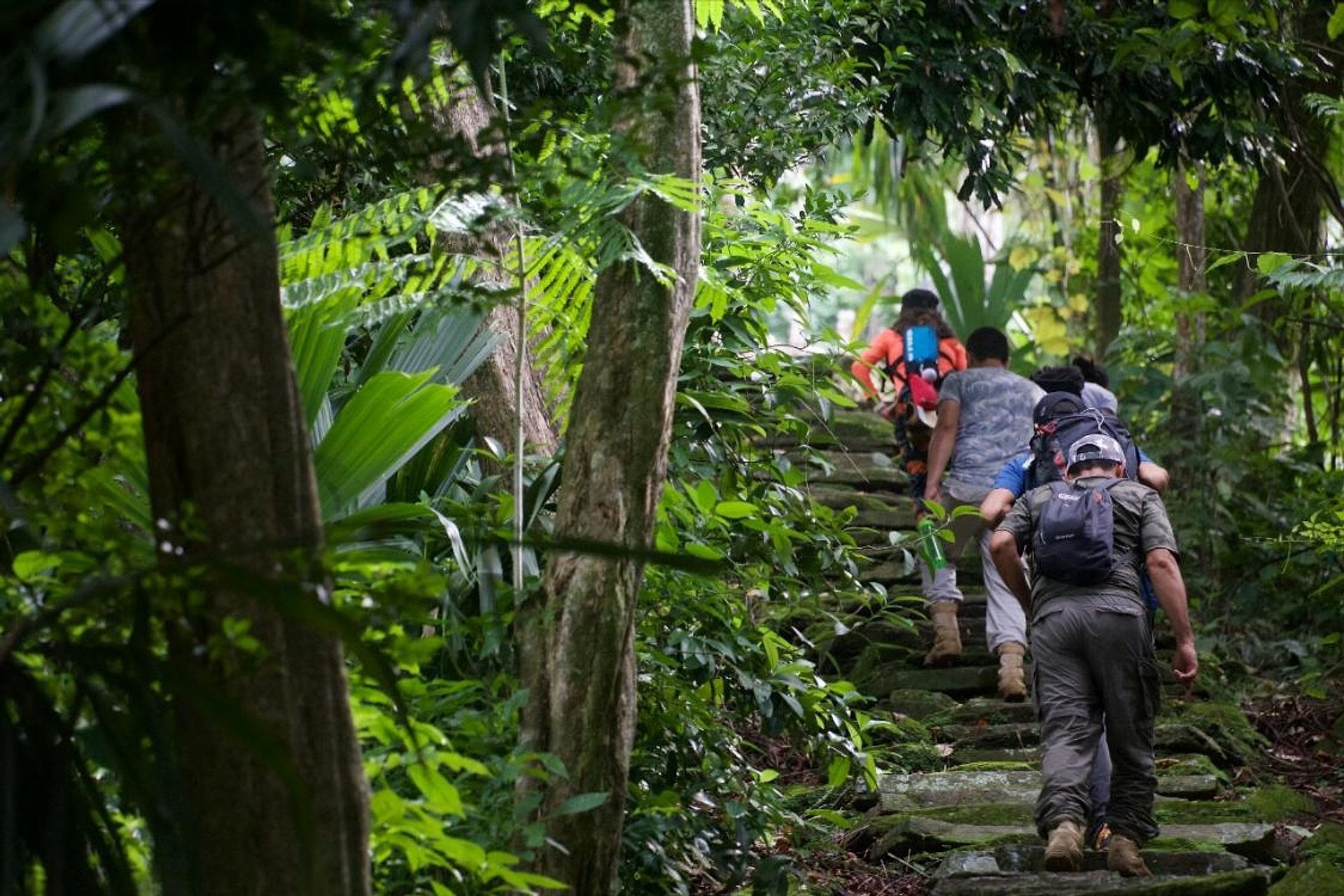 Recorrido por la ciudad de Santa Marta - Imagen 2