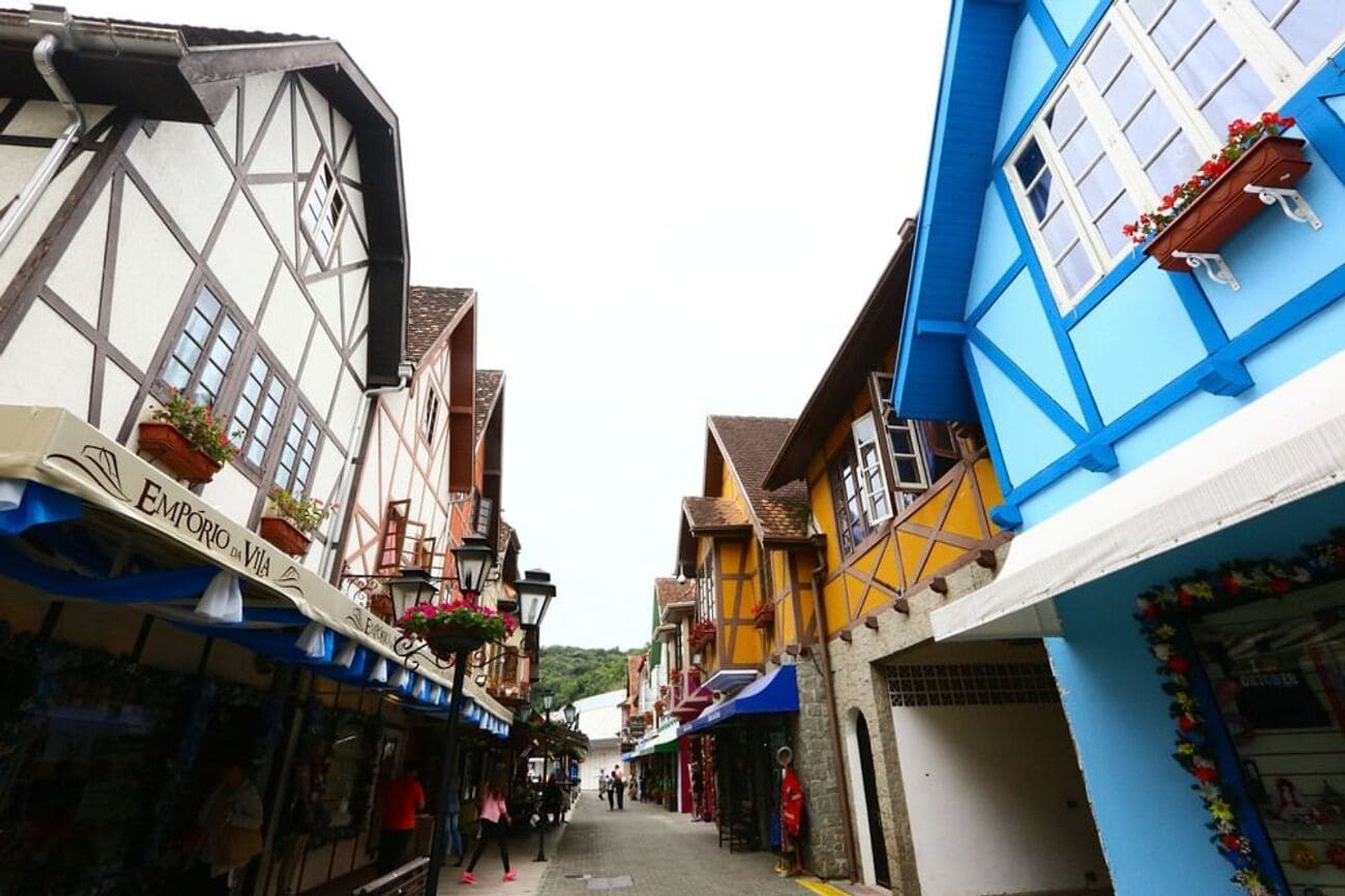 Tour Panóramico a Blumenau. - Imagen 4