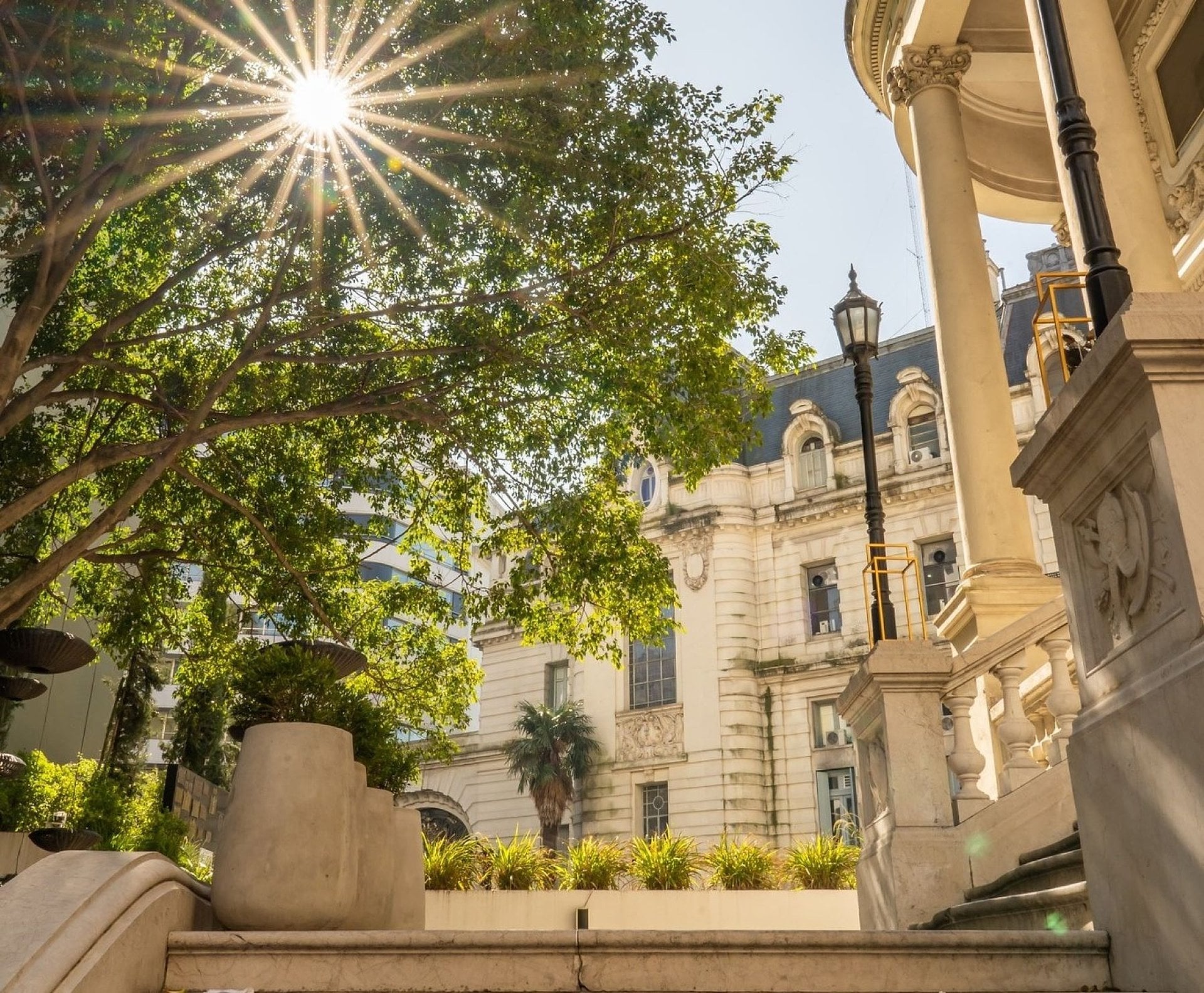 Té premium en Palacio Paz - Imagen 4