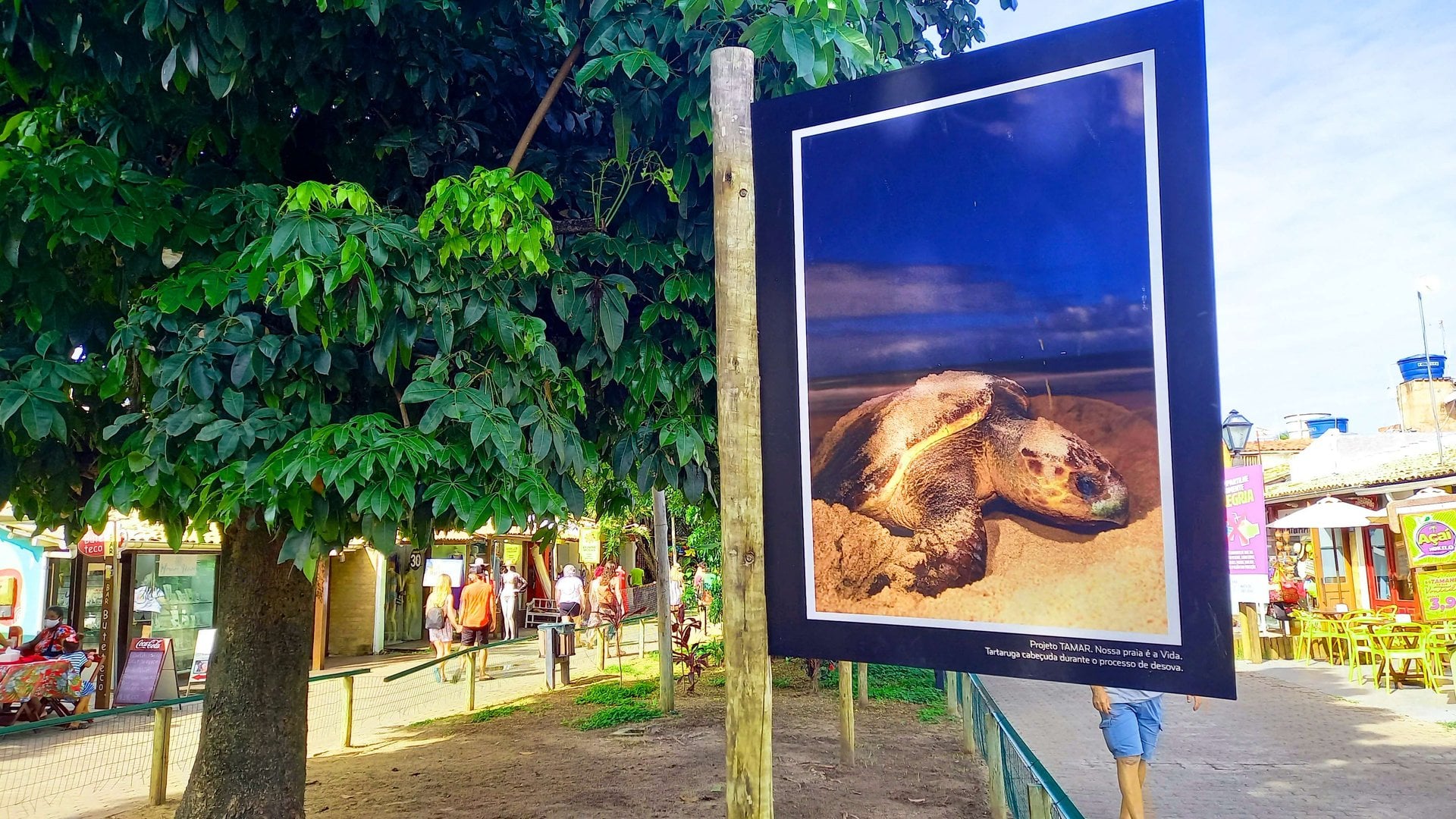 Tour a Praia do Forte y Guarajuba - Imagen 2