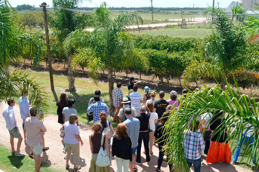Visita a la Bodega Moizo - Imagen 3