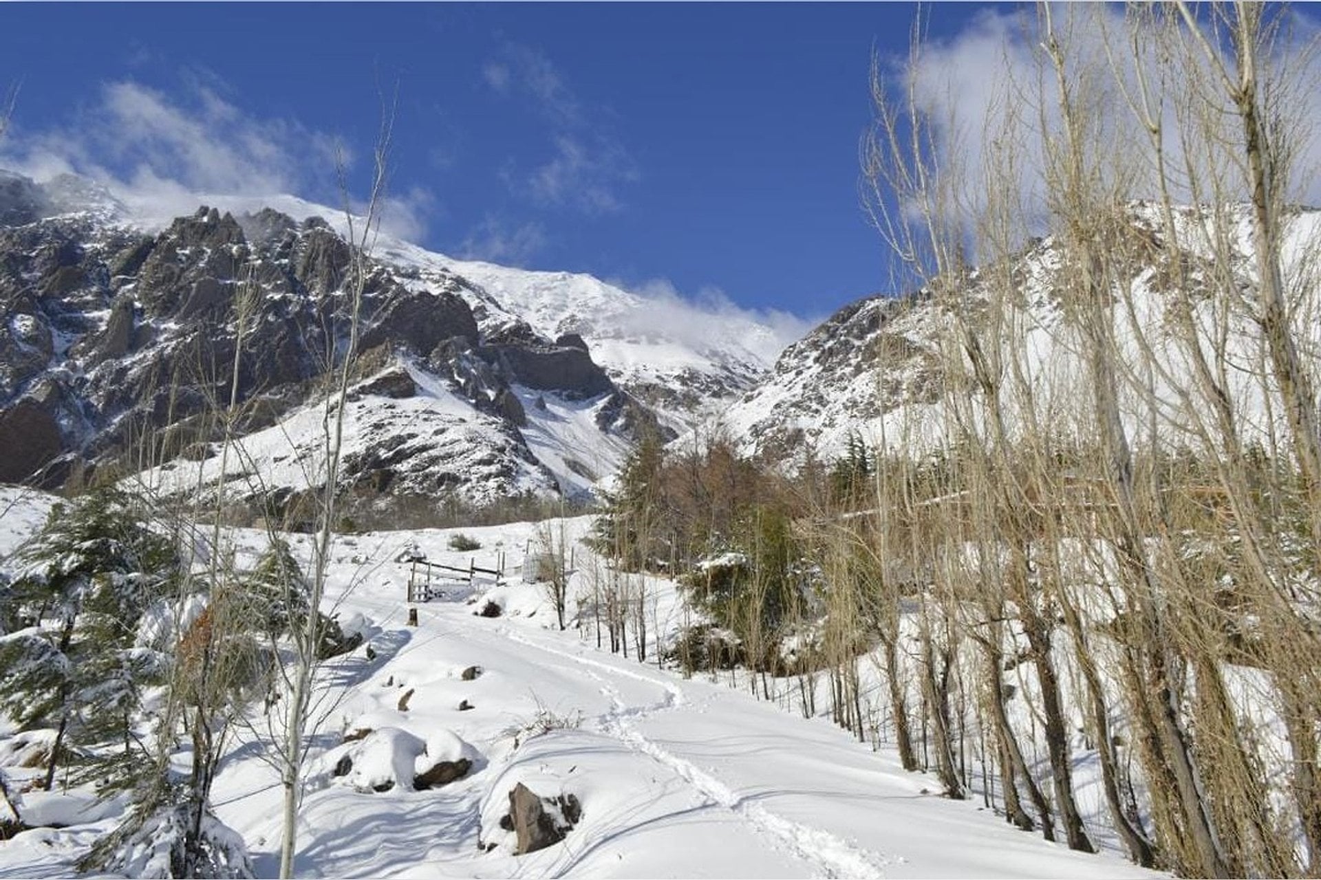 Cajón del Maipo: Embalse del Yeso y brindis - Imagen 4