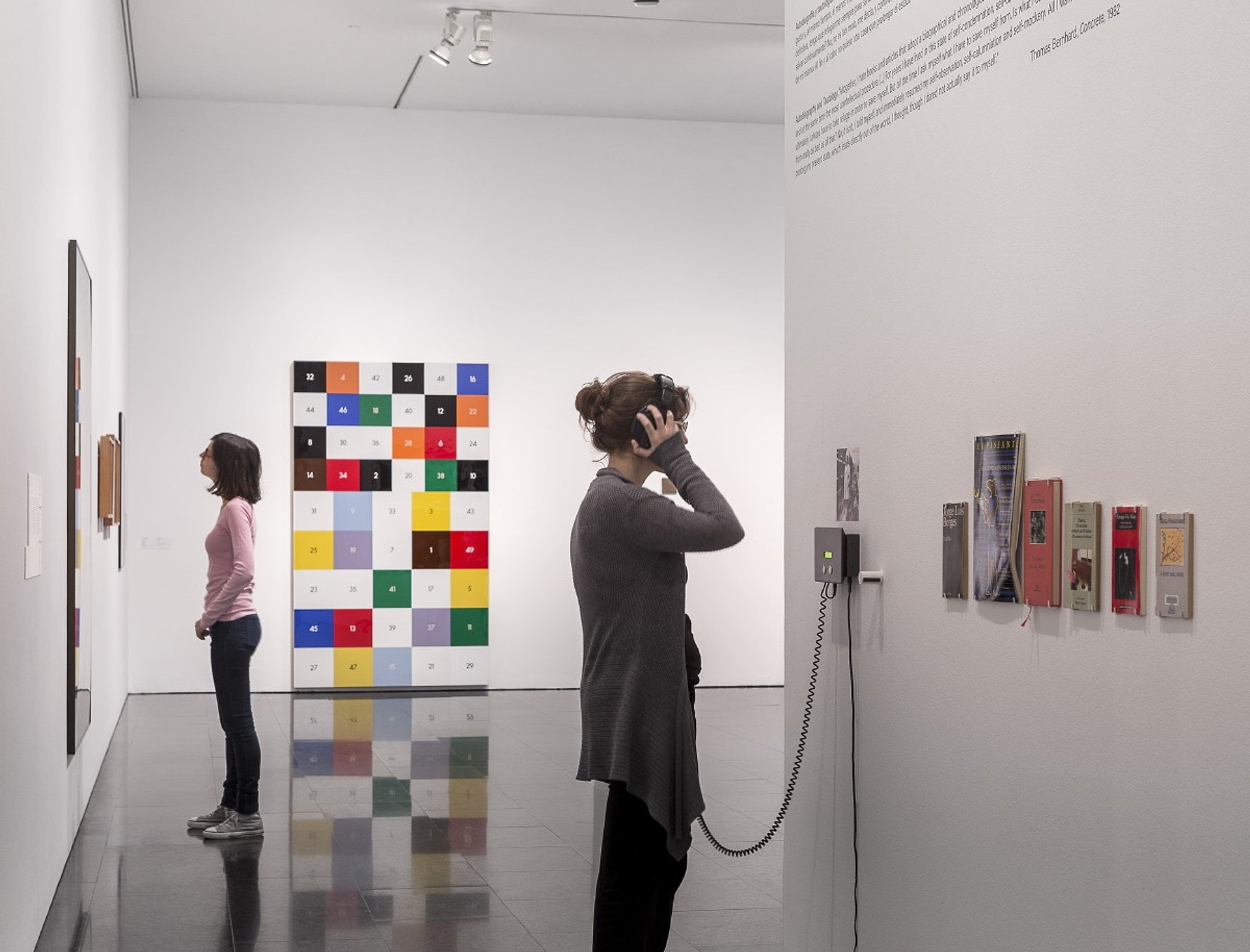 Entrada al Museo de Arte Contemporáneo - Imagen 2