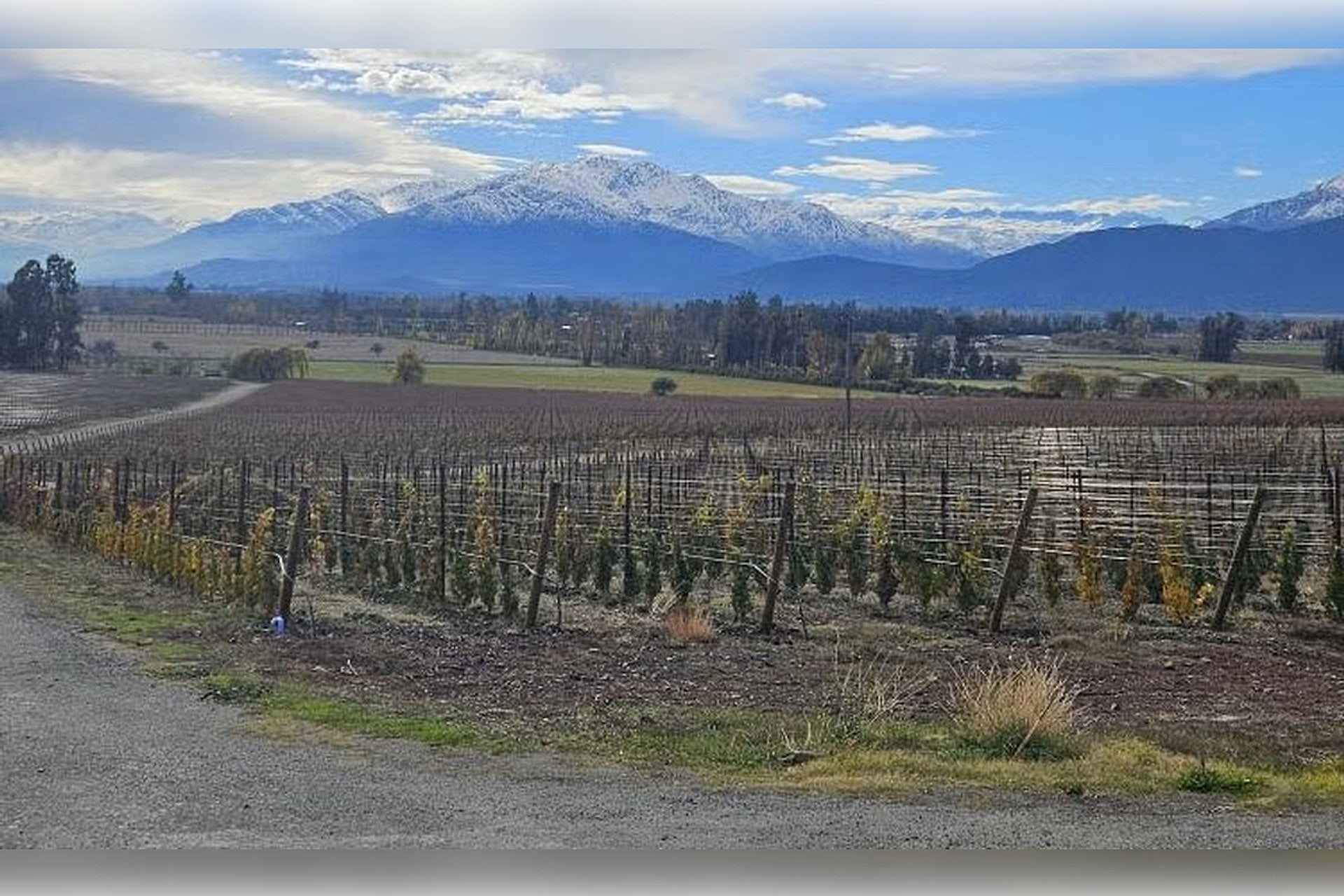 Viña Haras de Pirque con traslados - Imagen 2