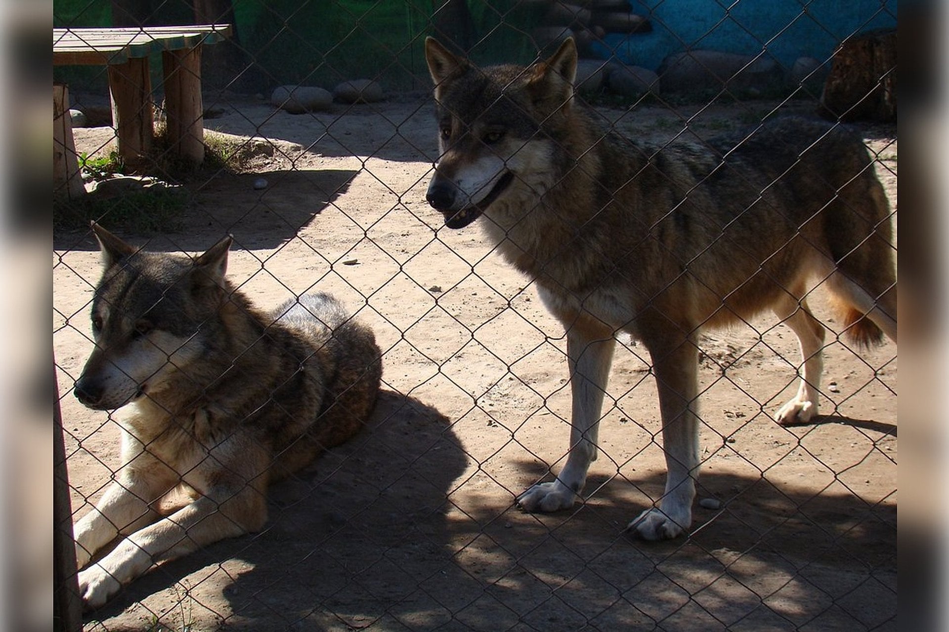 Parque Safari Rancagua - Imagen 4