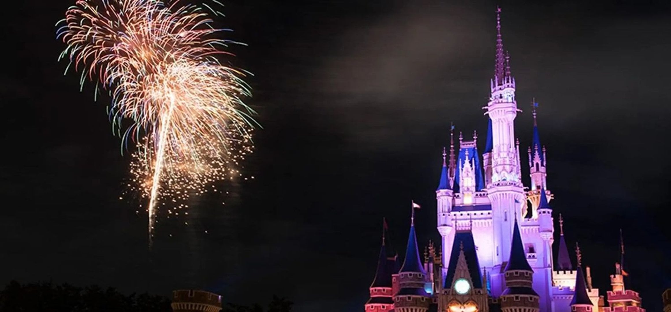 Pasaporte de 1 día para Disneyland Tokio - Imagen 2