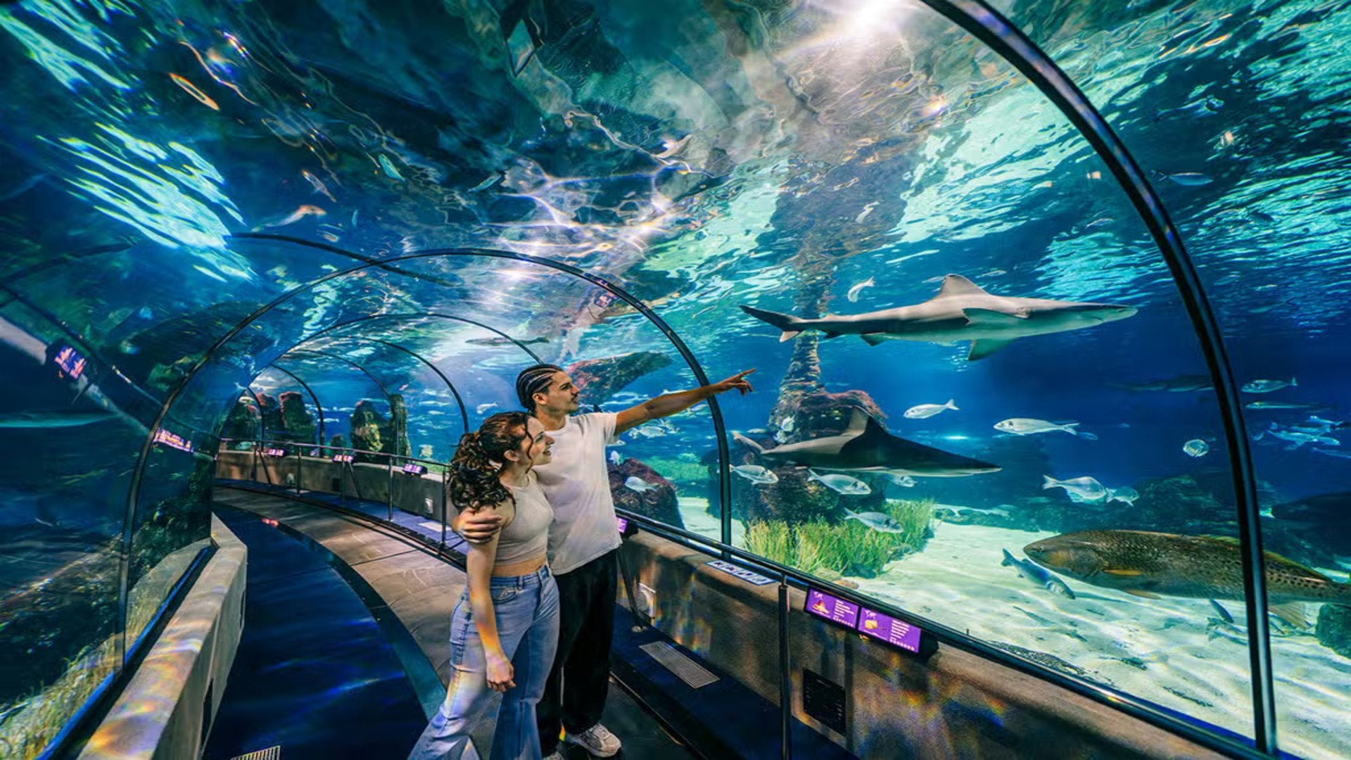 El Aquarium de Barcelona - Imagen 4