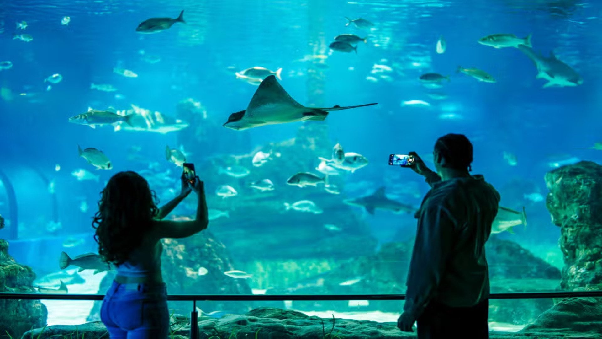 El Aquarium de Barcelona - Imagen 2