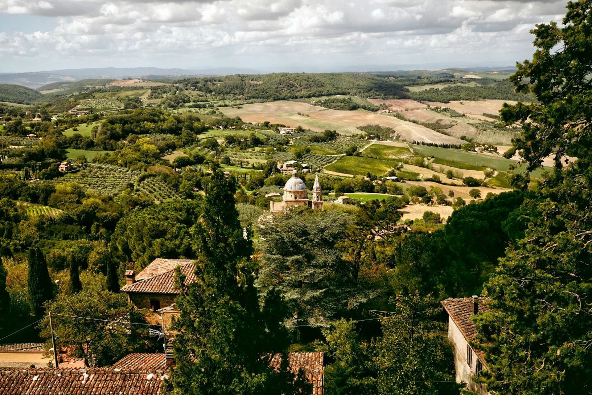 Montepulciano, Montalcino y Cortona - Imagen 3