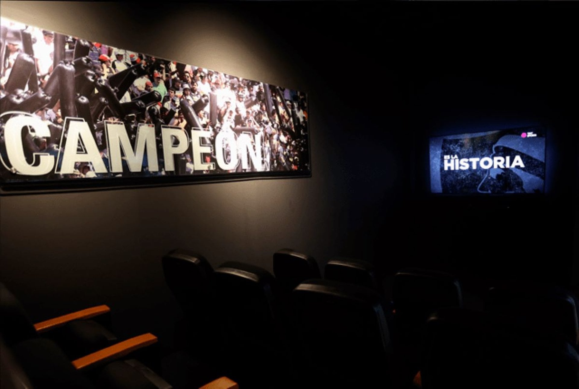 Museo y Estadio Monumental de Colo-Colo - Imagen 3