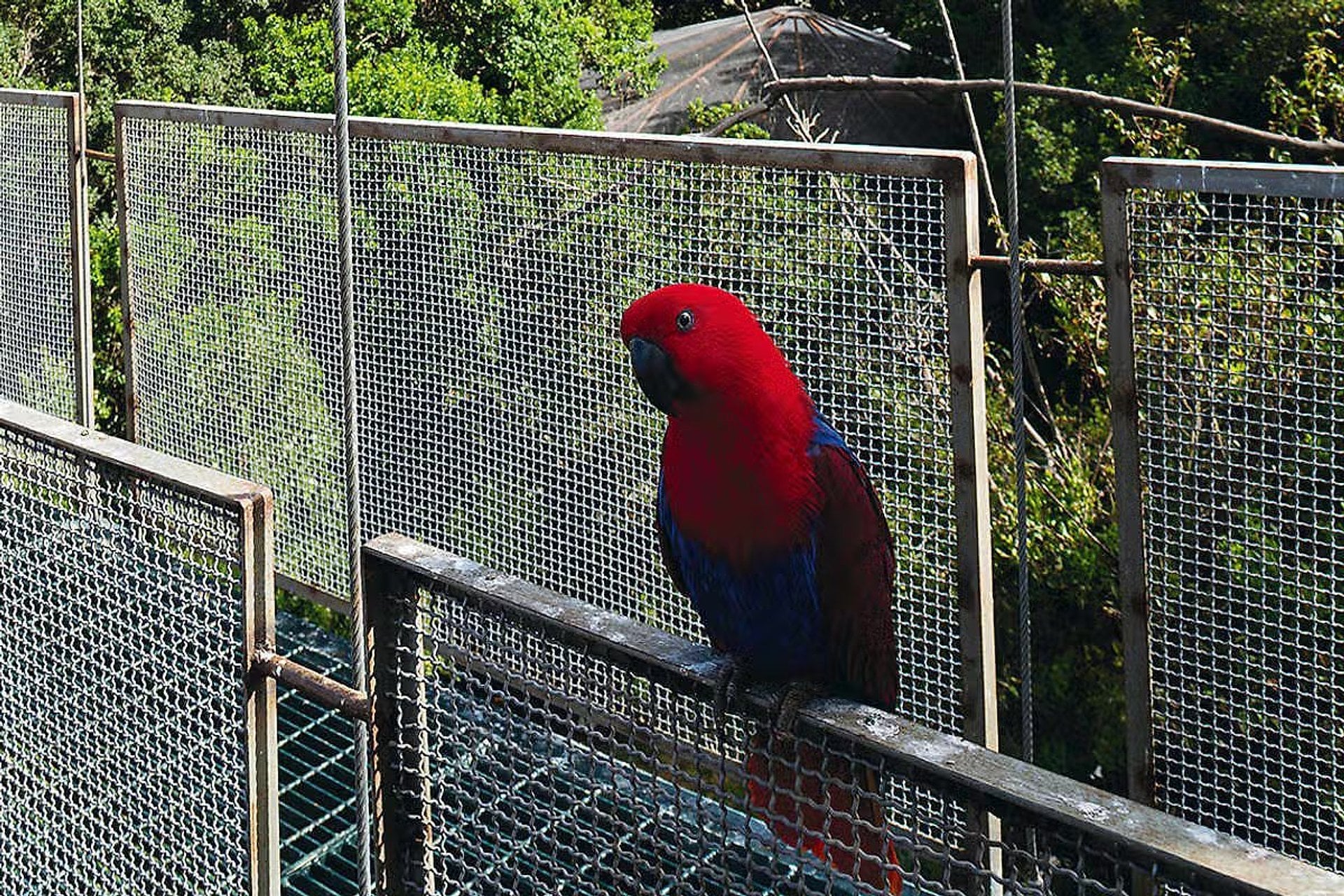 Parque Tricao y Pomaire - Imagen 2