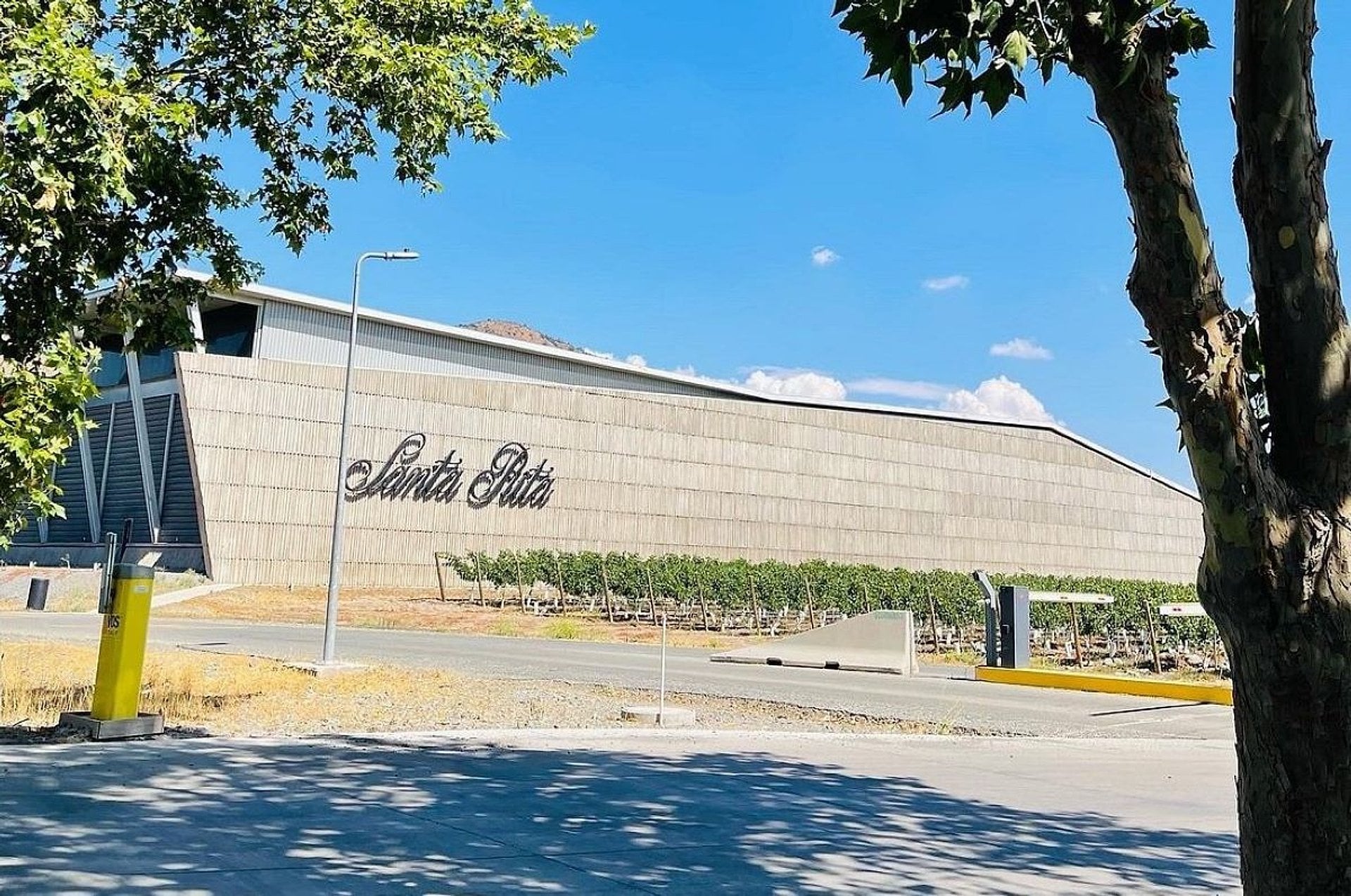 Viña Santa Rita con Traslados - Imagen 4