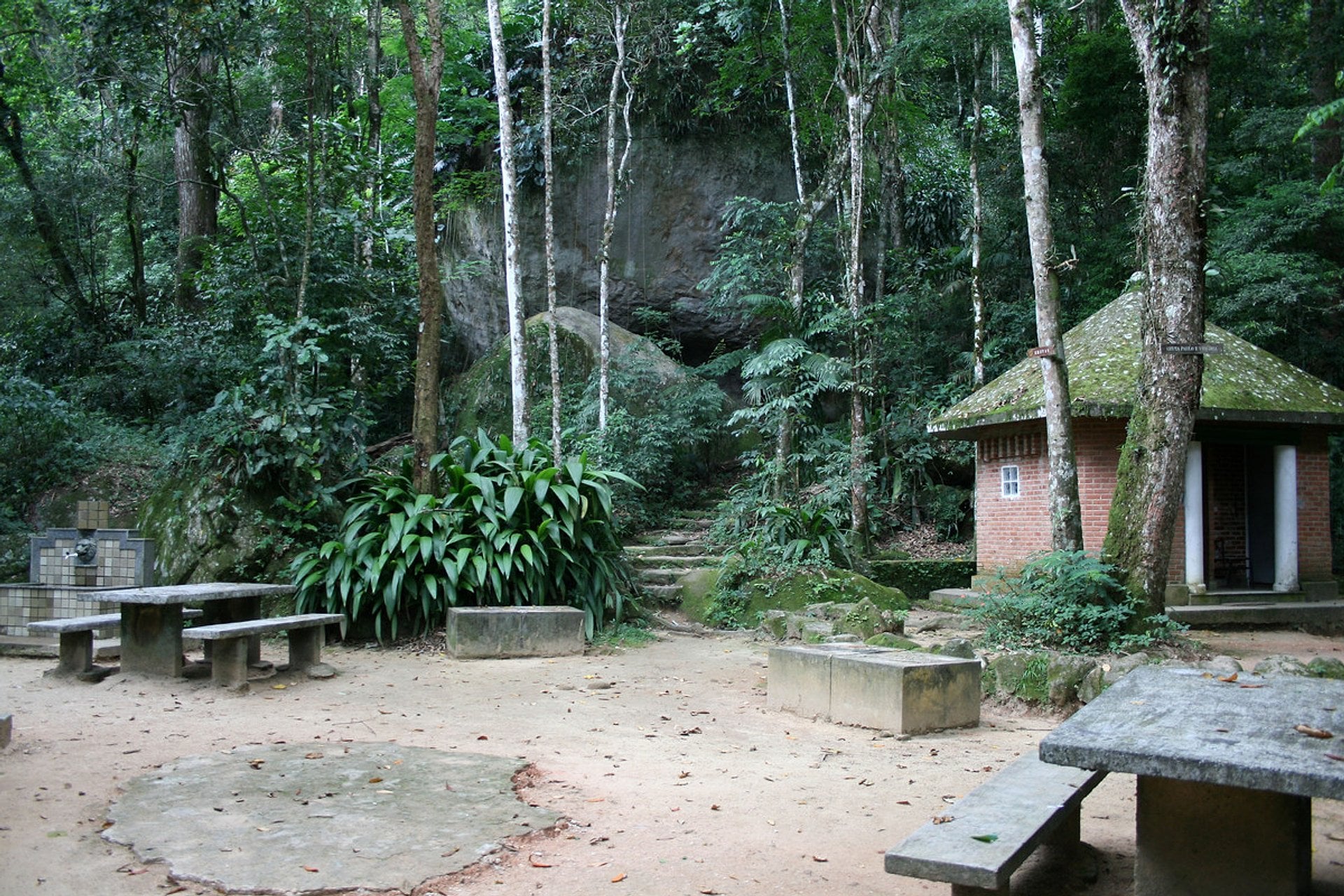 Parque Nacional de Tijuca y Jardín Botánico - Imagen 4