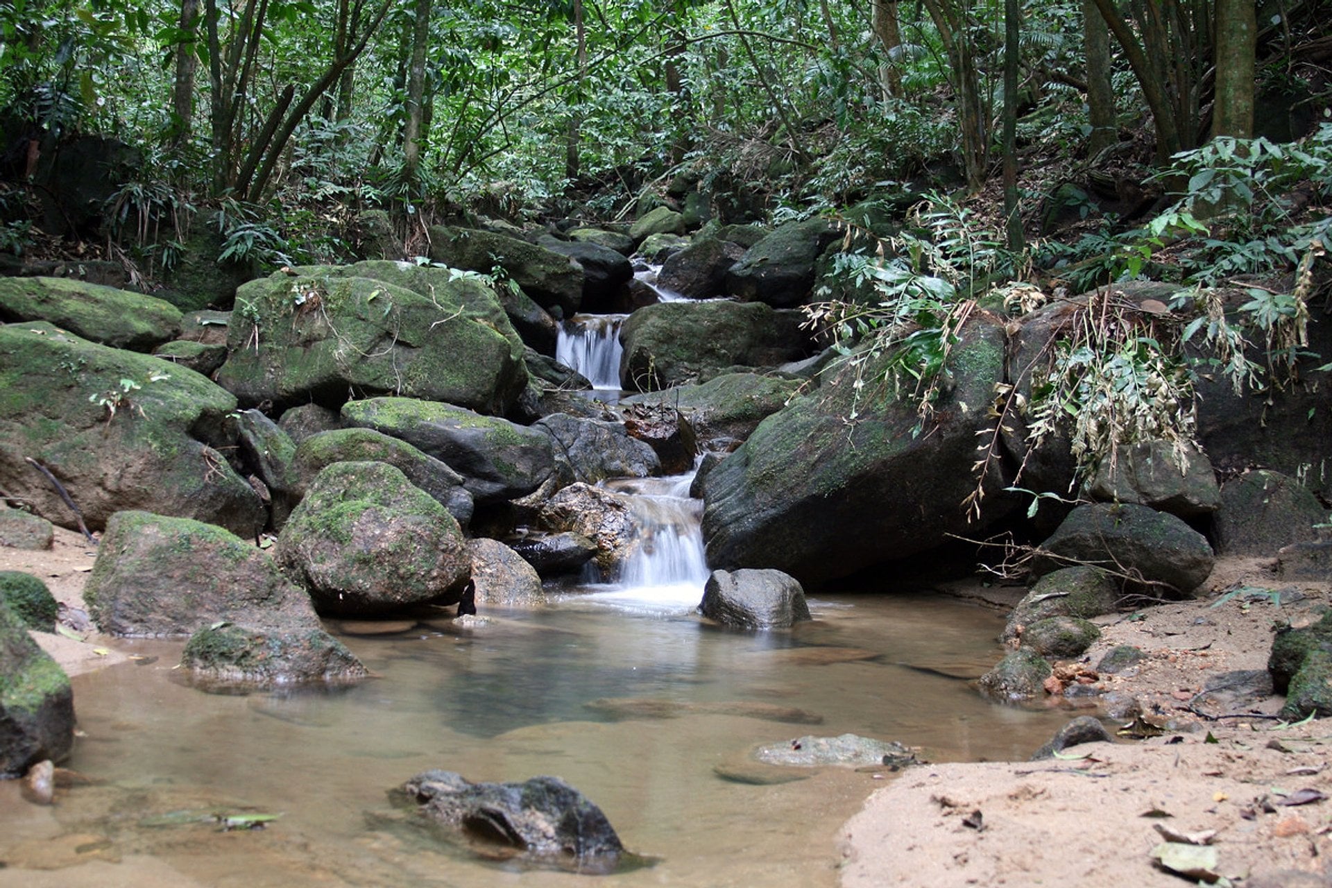 Parque Nacional de Tijuca y Jardín Botánico - Imagen 2