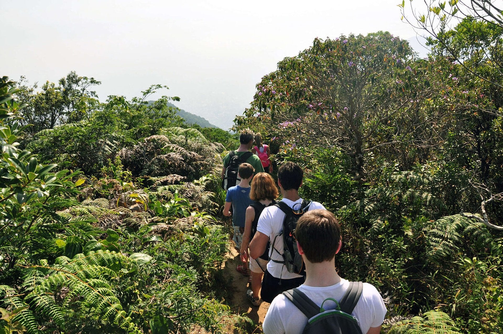 Parque Nacional de Tijuca y Jardín Botánico - Imagen 3