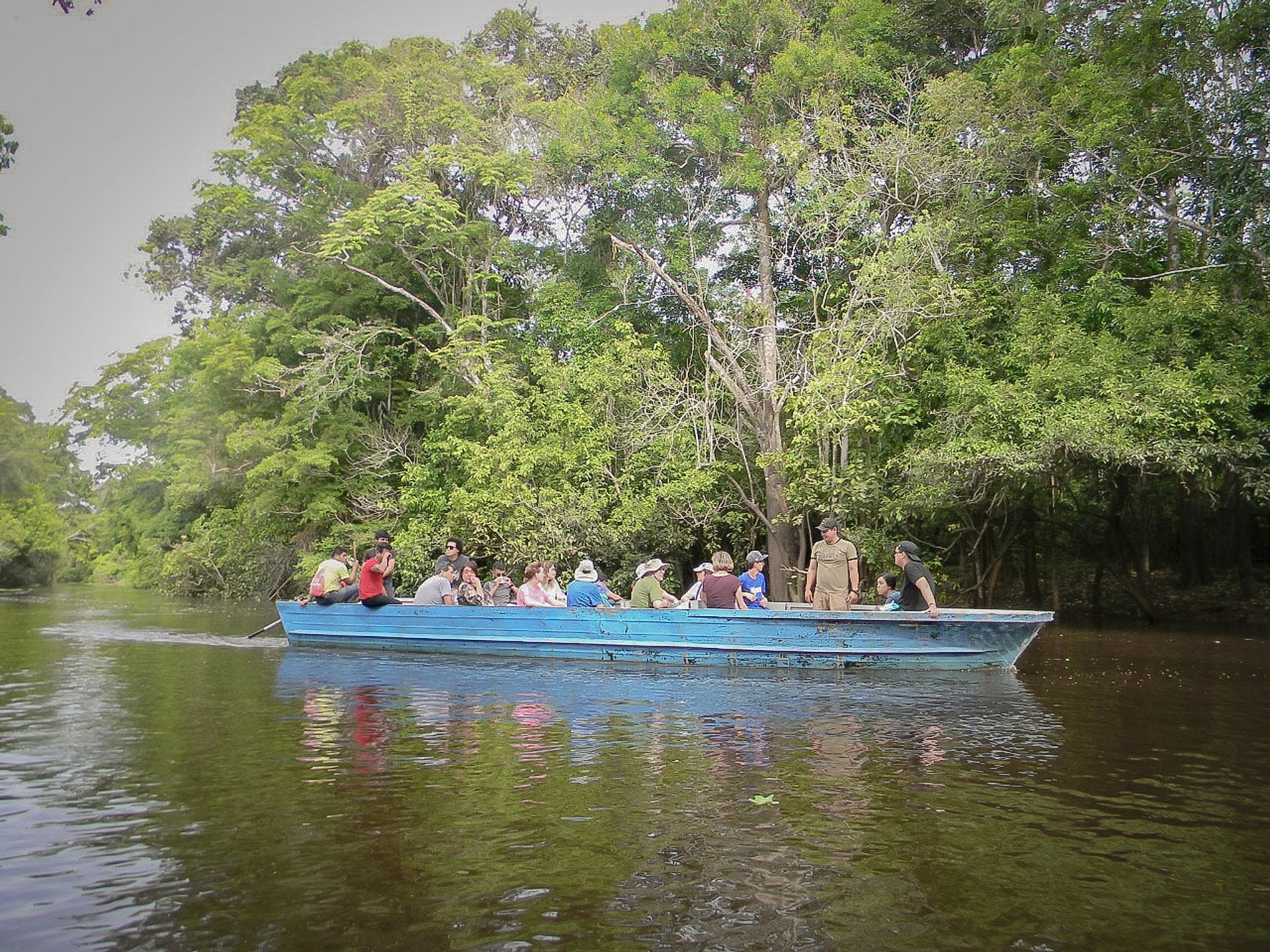 Safari en el Amazonas: día completo - Imagen 4