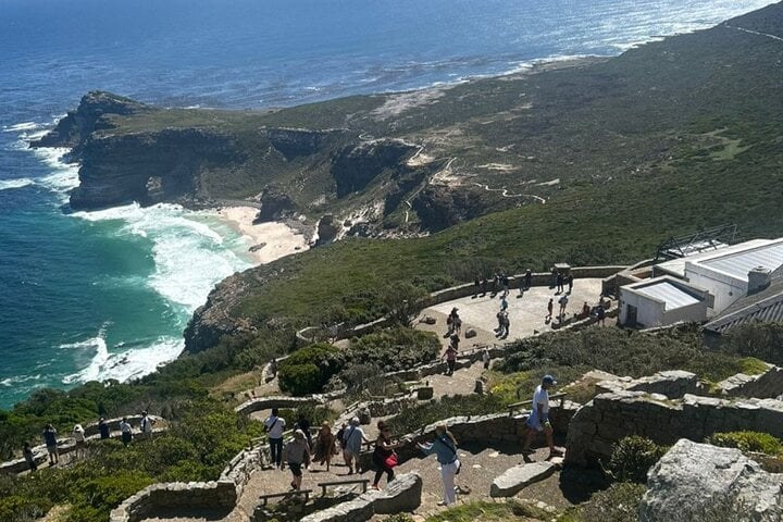 Table Mountain, pingüinos y Cape Point - Imagen 3