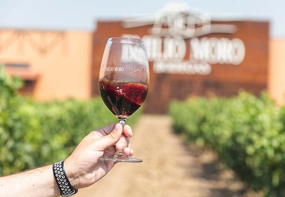 Los secretos del Vino: Ribera del Duero - Imagen 4