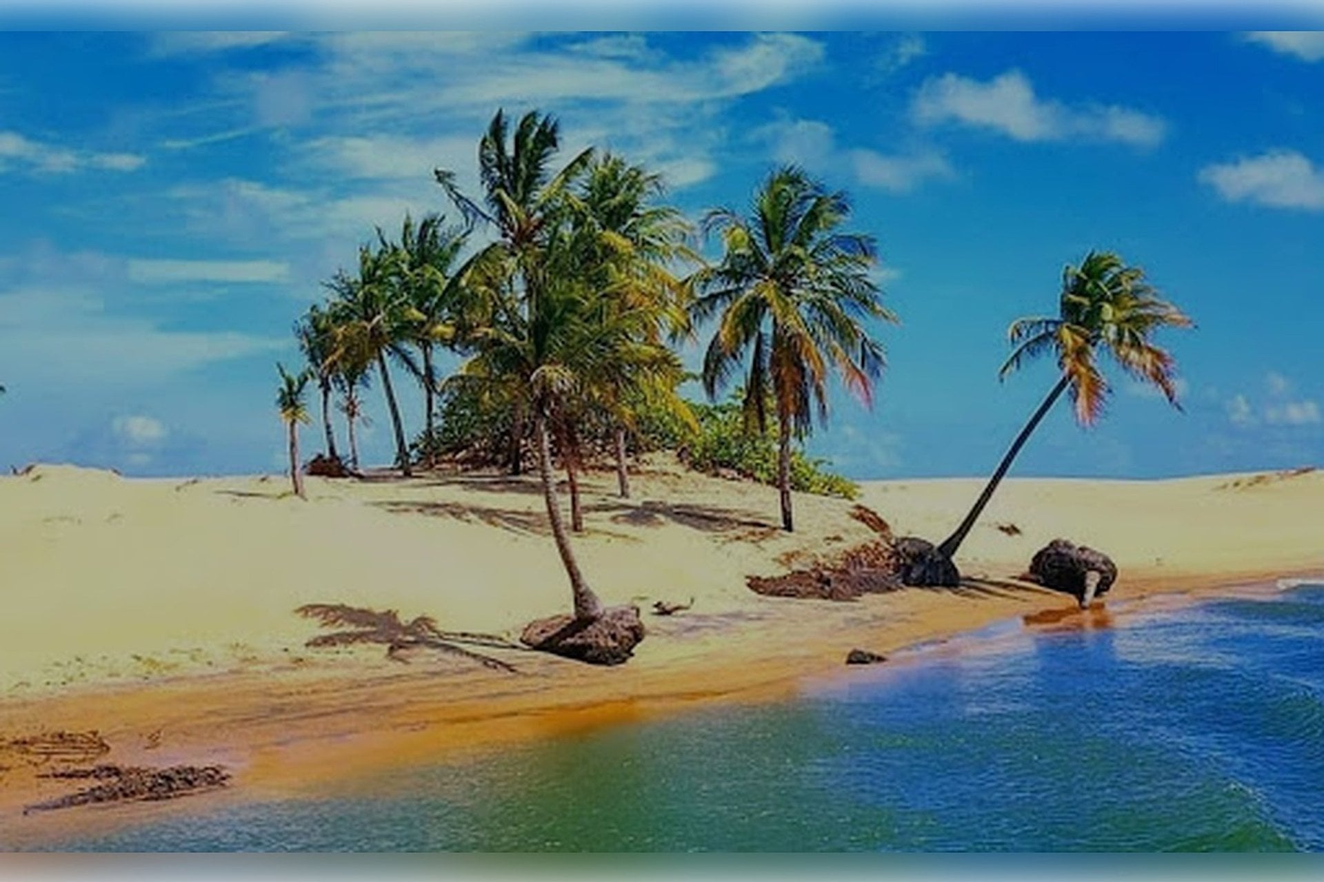 Desembocadura del río São Francisco - Imagen 3
