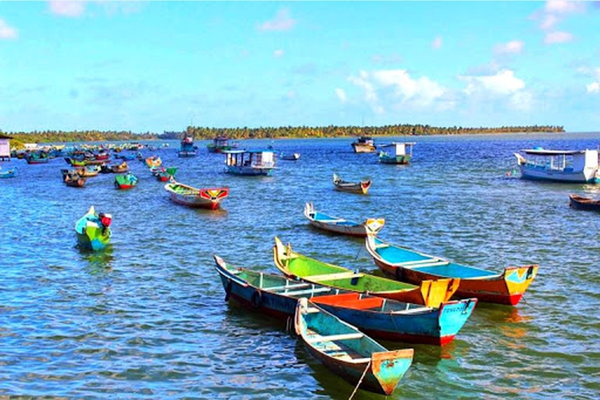 Desembocadura del río São Francisco - Imagen 4