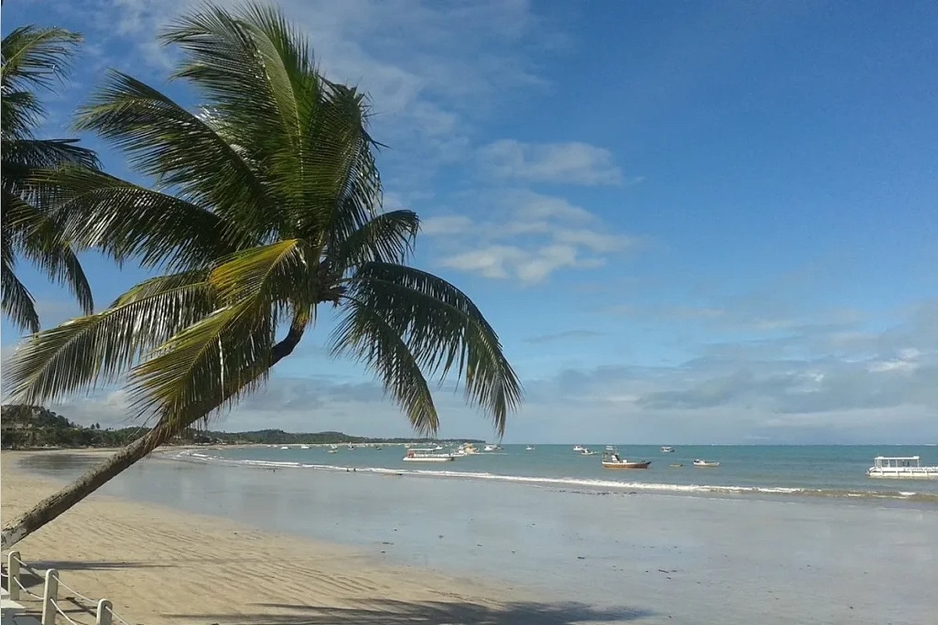 Maragogi (marea baja): piscinas naturales - Imagen 3
