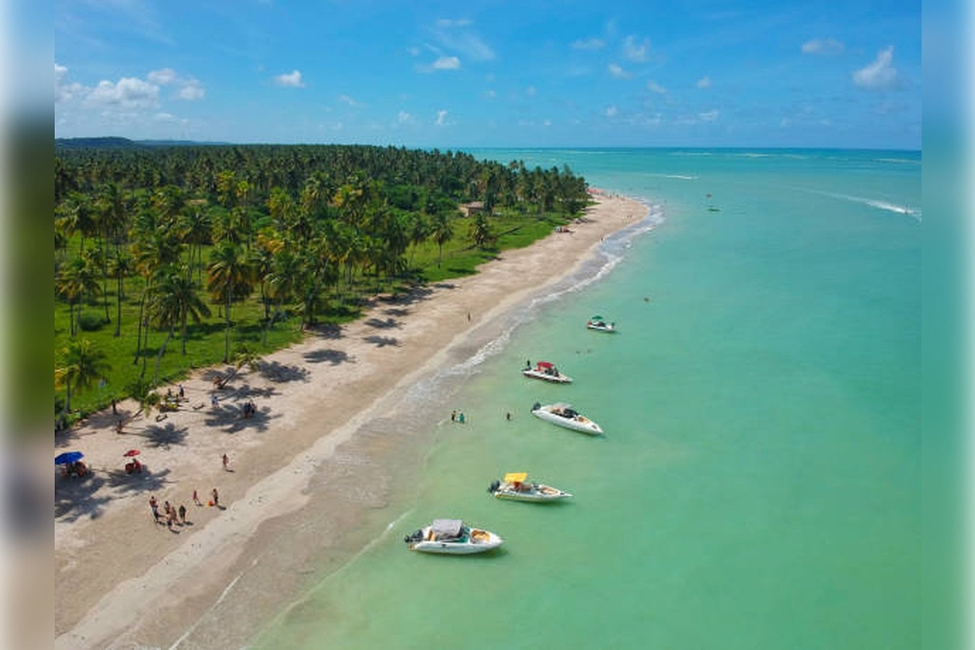 Maragogi (marea baja): piscinas naturales - Imagen 4