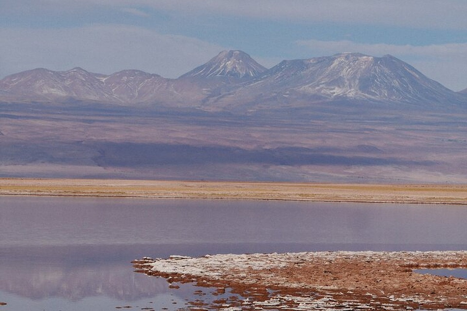 Laguna Cejar, Ojos del Salar y Tebenquinche - Imagen 2