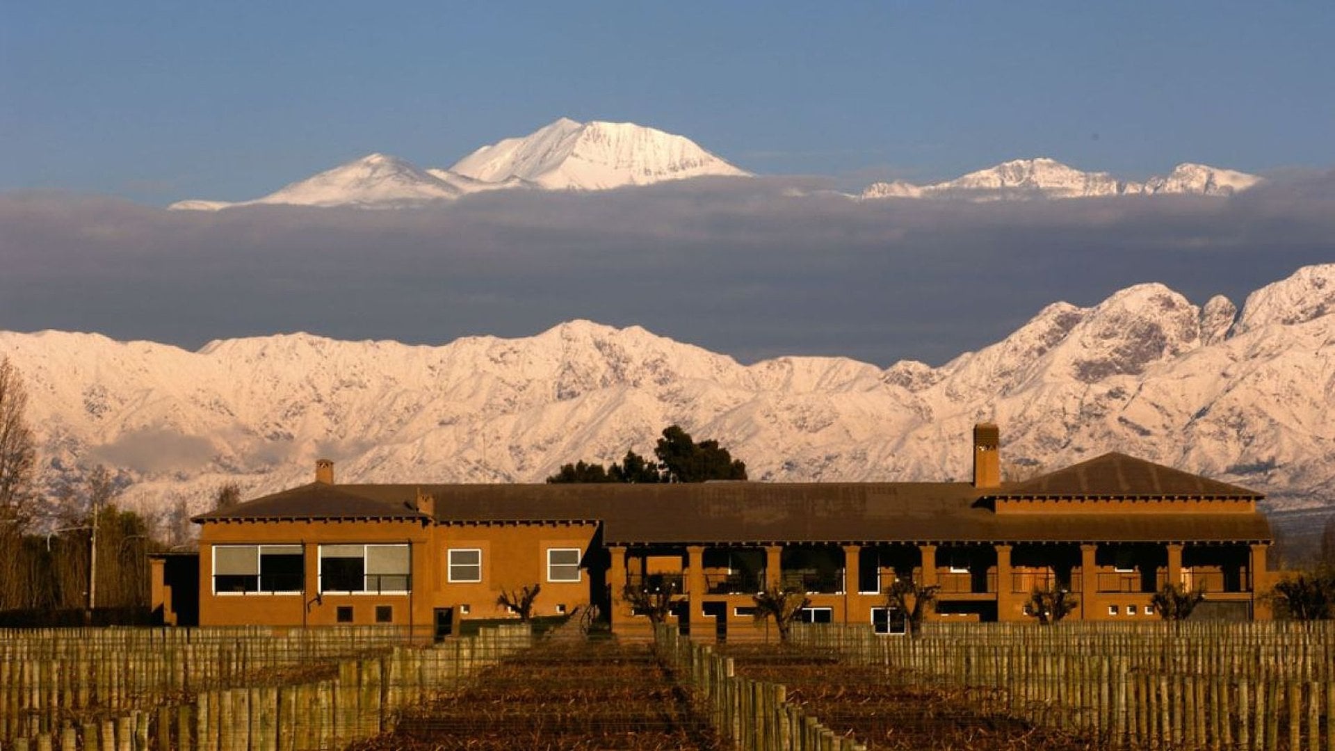 Alma y Vino: dos bodegas en Luján de Cuyo - Imagen 4