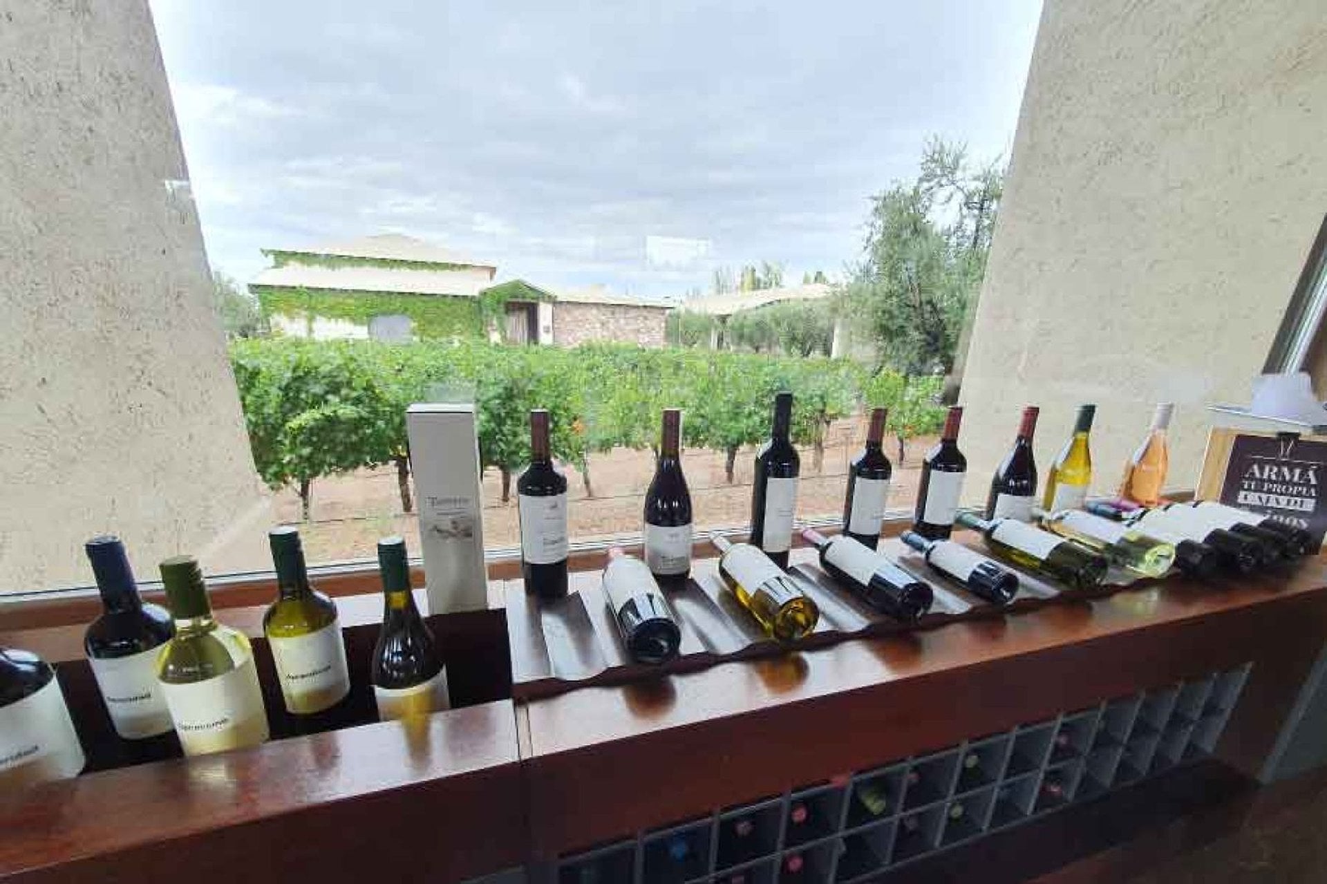 Alma y Vino: dos bodegas en Luján de Cuyo - Imagen 3