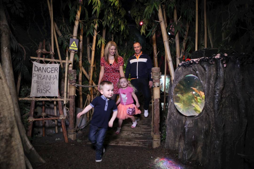 Explore Sea Life Blackpool - Imagen 2