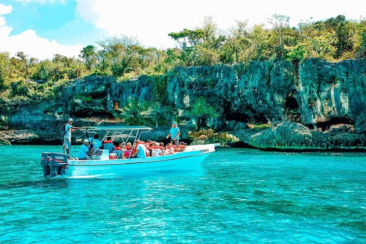 Saona: almuerzo, fauna y piscinas naturales - Imagen 2
