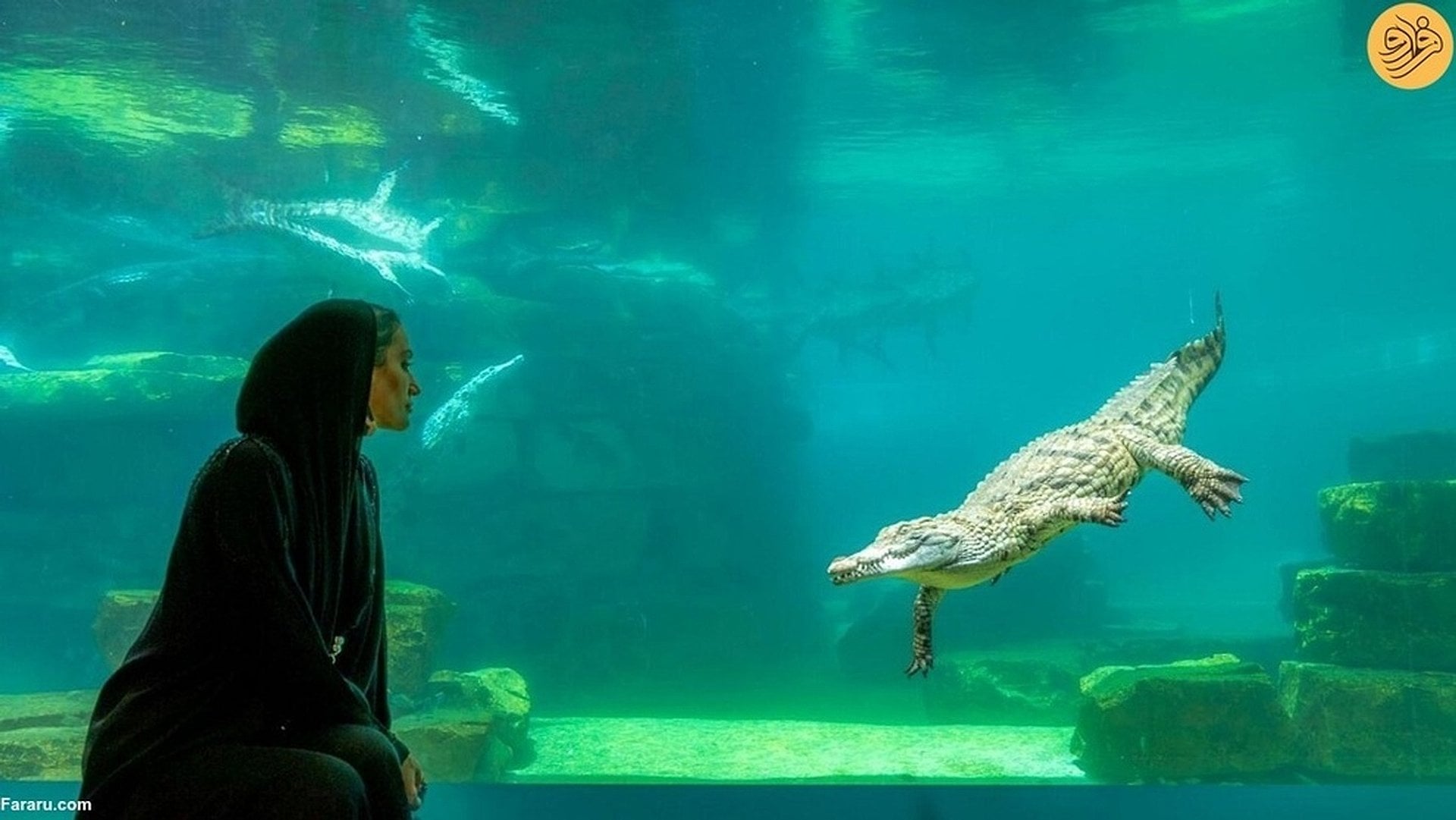 Parque de Cocodrilos de Dubái - Imagen 3