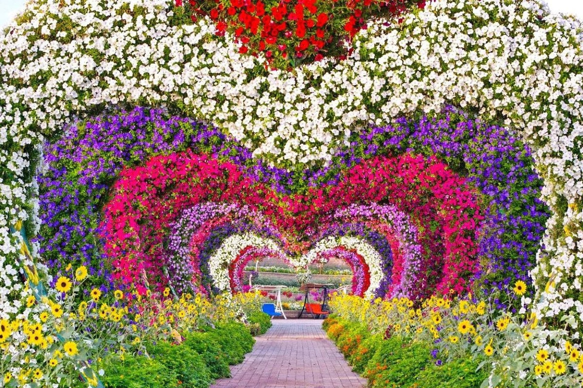 Entradas: Miracle Garden y mariposario - Imagen 2