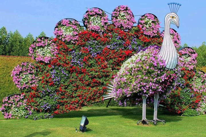 Dubai Miracle Garden con traslados privados - Imagen 3